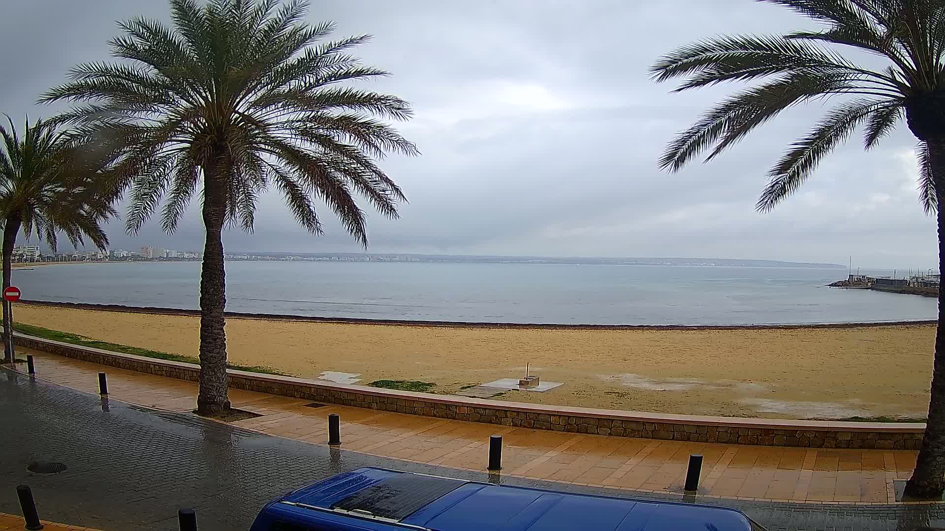 A wet sandy beach stretches along a calm sea under a cloudy sky, flanked by palm trees and a paved walkway.