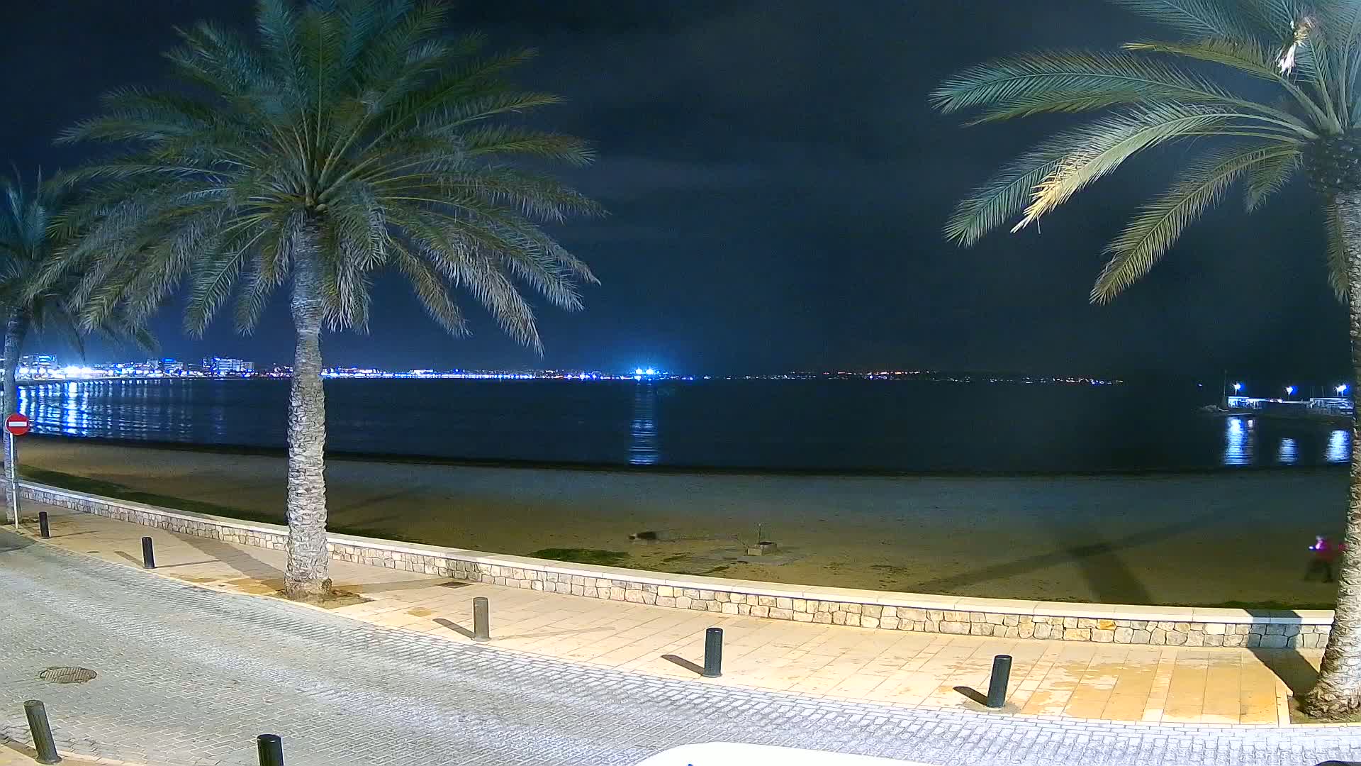 At night, a sandy beach bordered by palm trees and a paved walkway overlooks a calm body of water with a distant, illuminated city skyline.