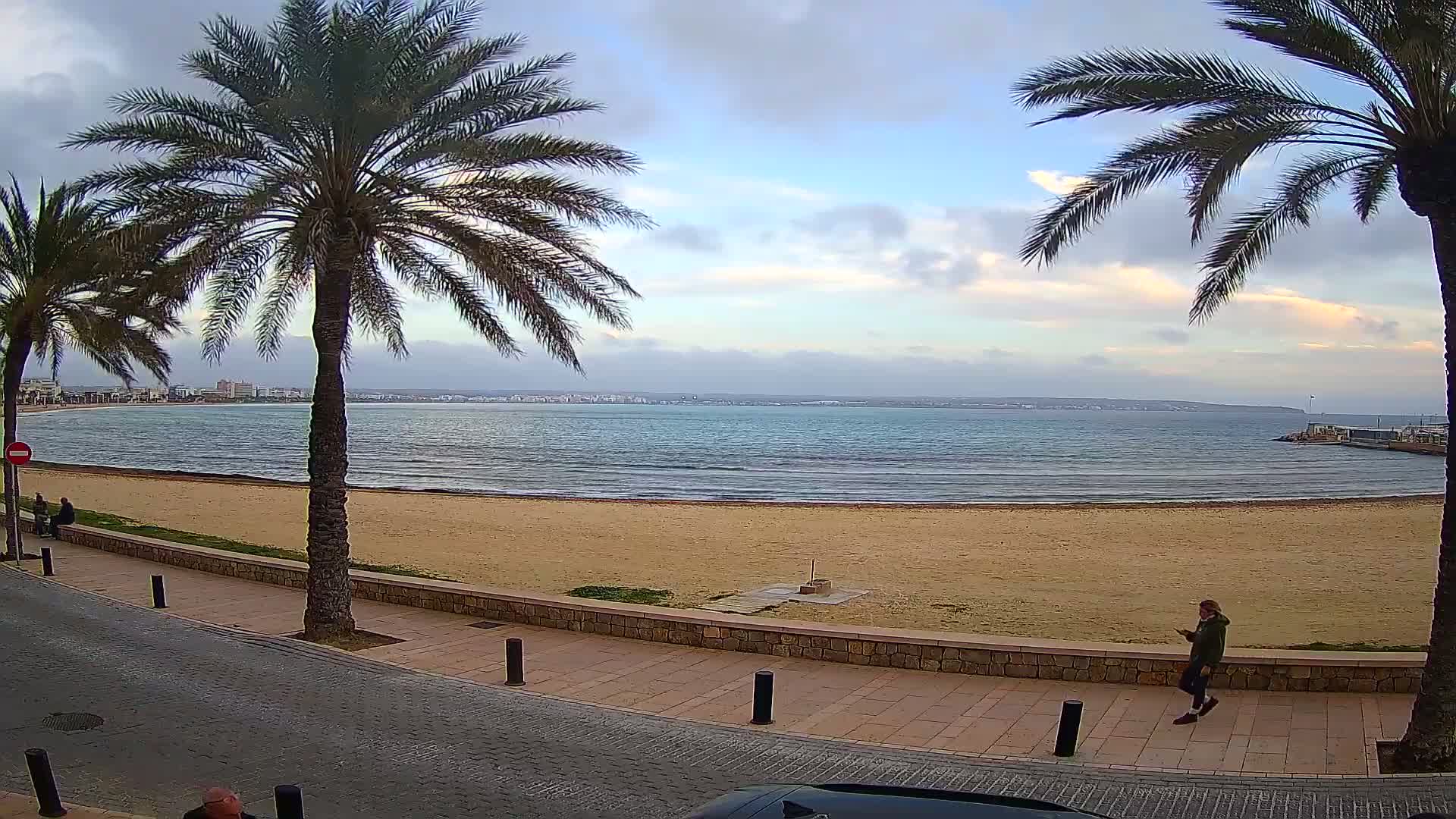 A sandy beach with calm water and palm trees lines a paved walkway under a partly cloudy sky.