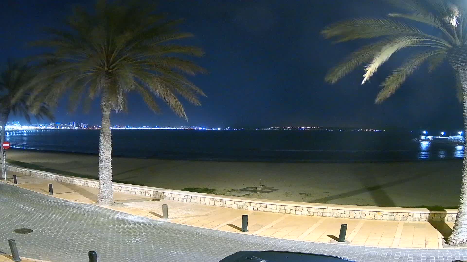 At night, a mostly clear sky illuminates a sandy beach, palm trees, and a city skyline across a calm body of water.