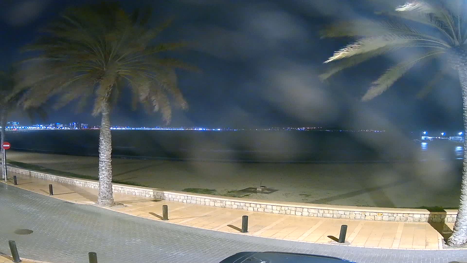 A nighttime view of a beach with palm trees, a low stone wall, and a paved walkway, overlooking a calm body of water and a distant city skyline under a dark sky.