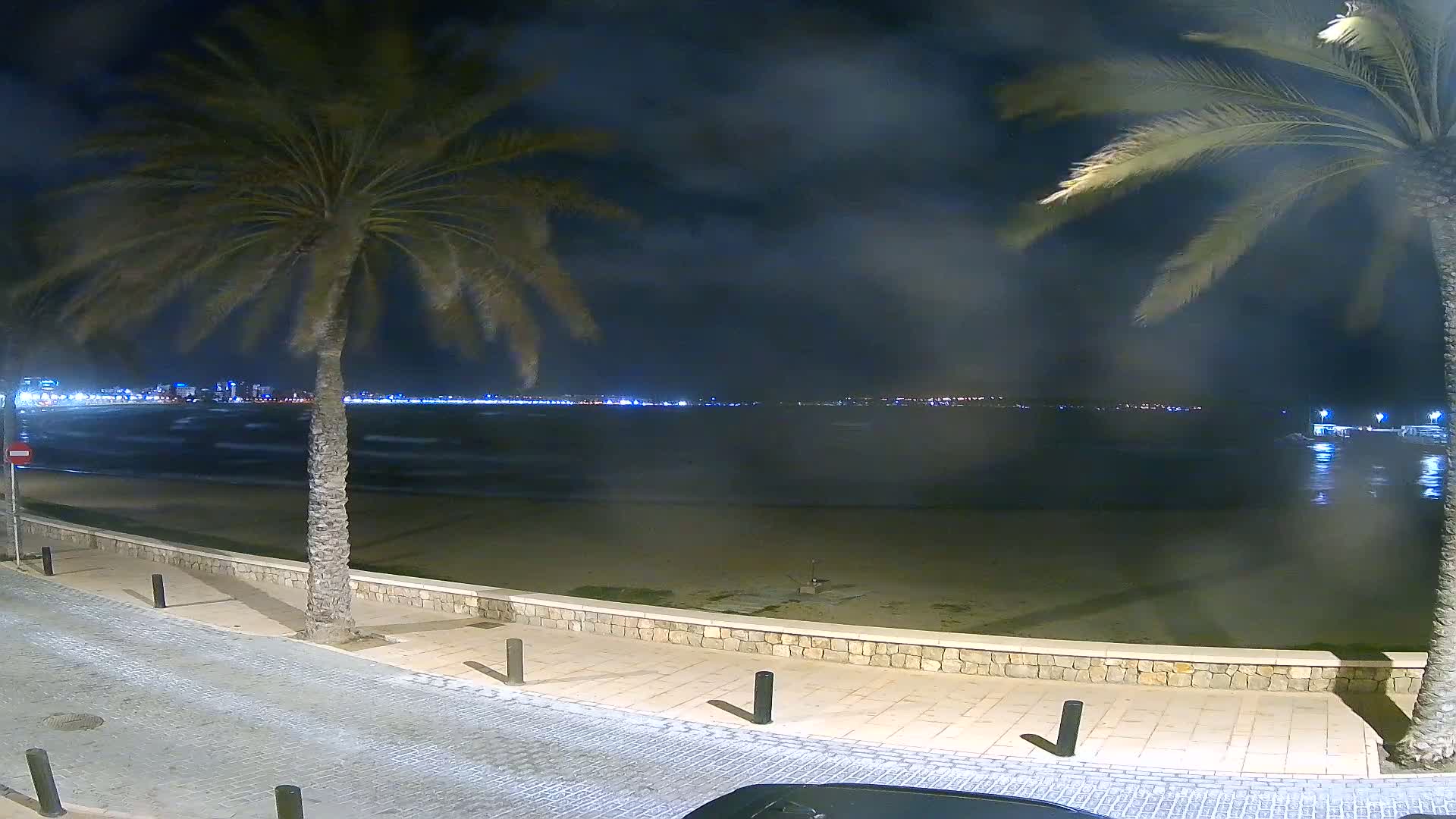 A nighttime view of a beach with palm trees, a calm sea with a distant city skyline faintly visible under a cloudy sky.