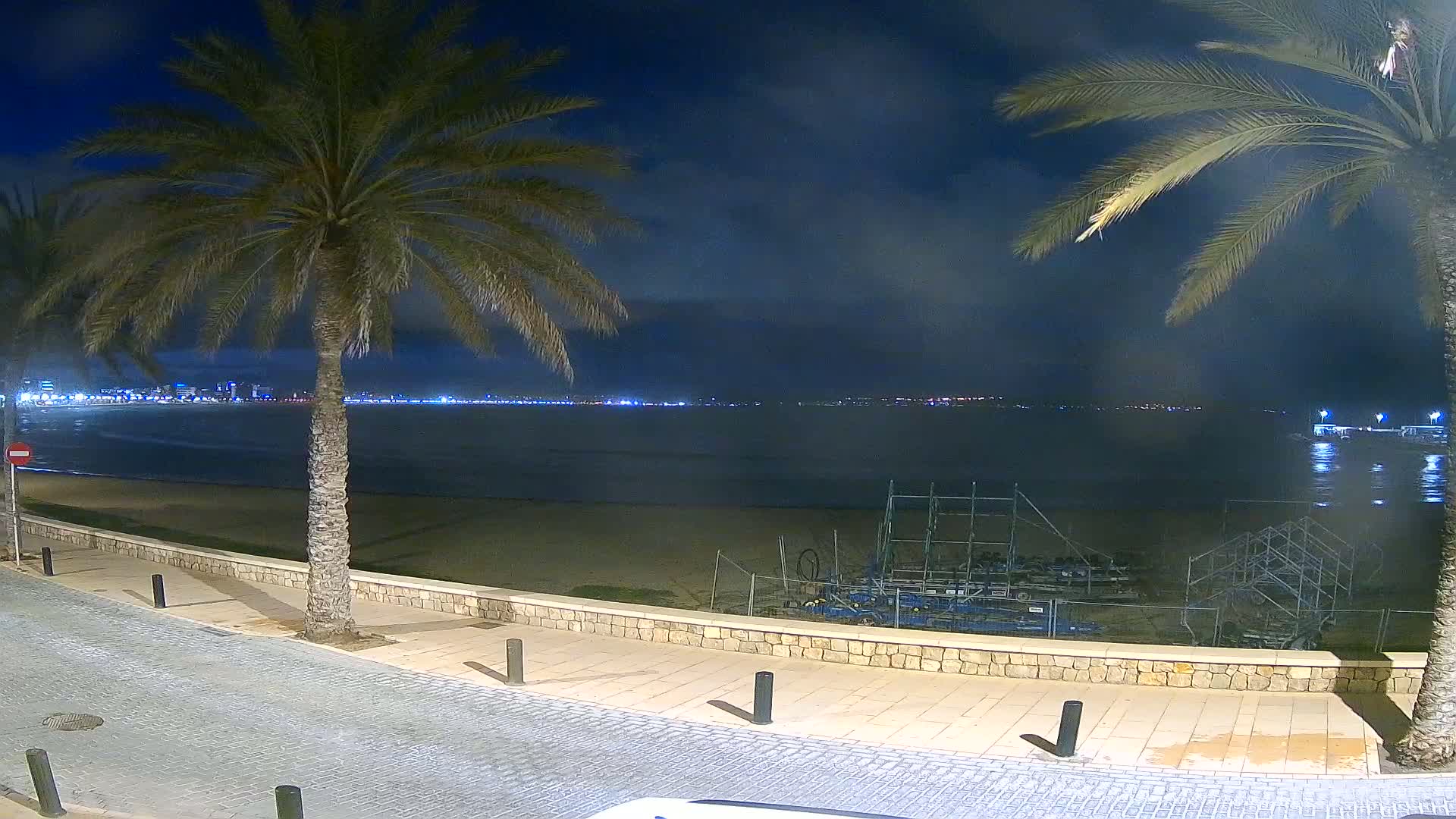 A nighttime view of a calm ocean, a sandy beach, palm trees, and a paved walkway, with a distant city skyline illuminated.