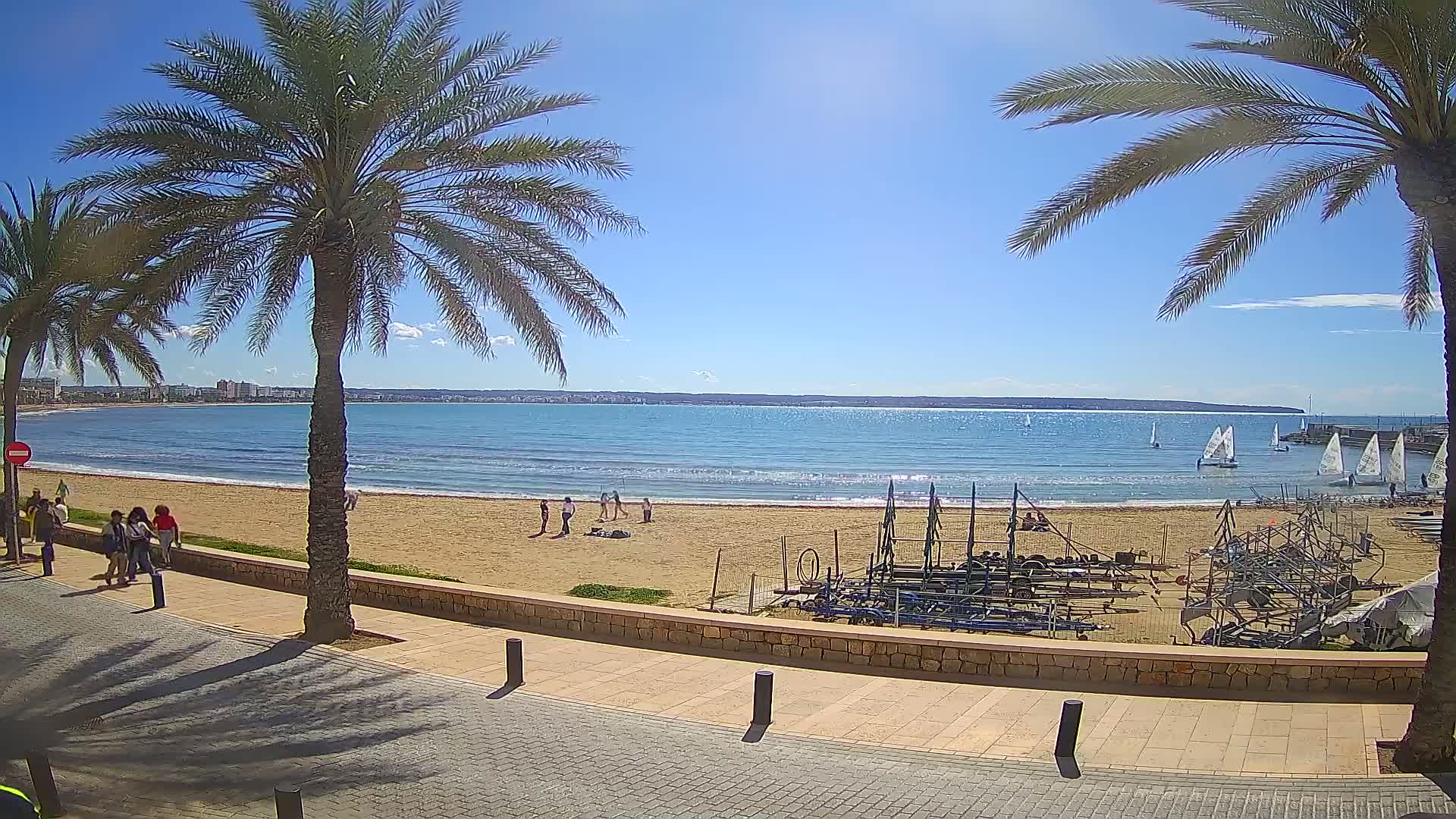 A sunny day at a sandy beach with palm trees, people walking and relaxing, several sailboats on the water, and equipment stored on the sand.