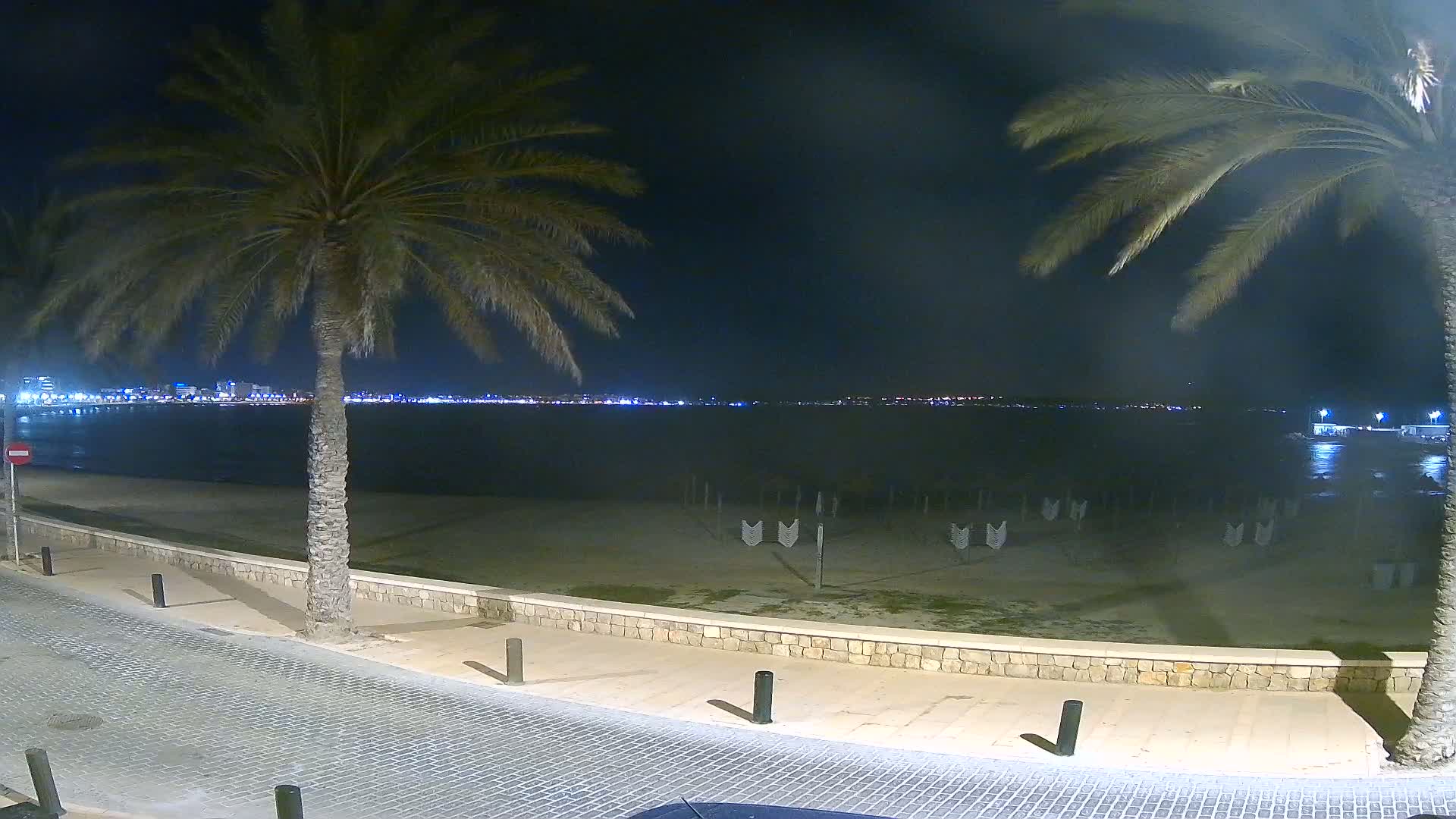 A nighttime view of a beach with palm trees, a calm sea, and a city skyline illuminated in the distance.