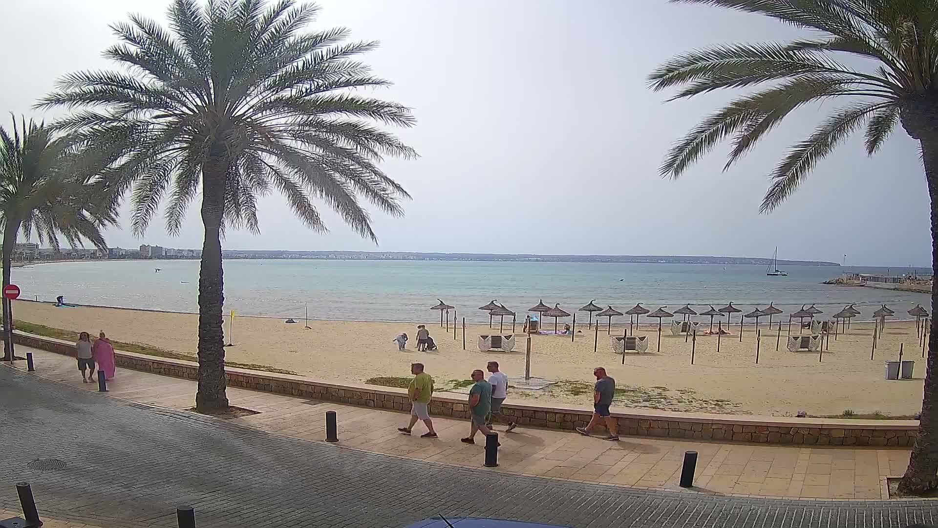 A sandy beach with calm, light-blue water, palm trees, and several people walking along a paved walkway under an overcast sky.