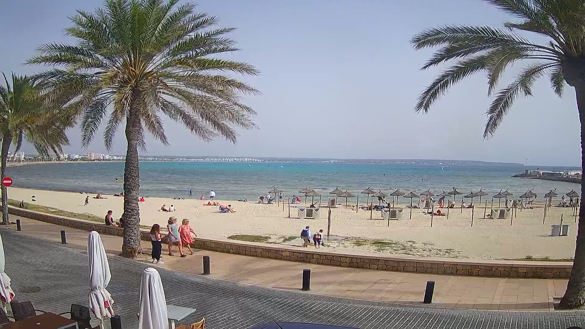 A sunny day at a beach with palm trees, people sunbathing and walking along a paved promenade.