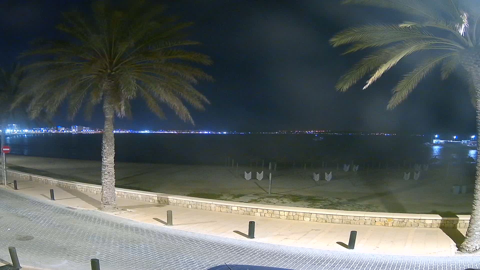 A nighttime view of a calm beach with palm trees, a stone wall, and a city skyline illuminated across the water.