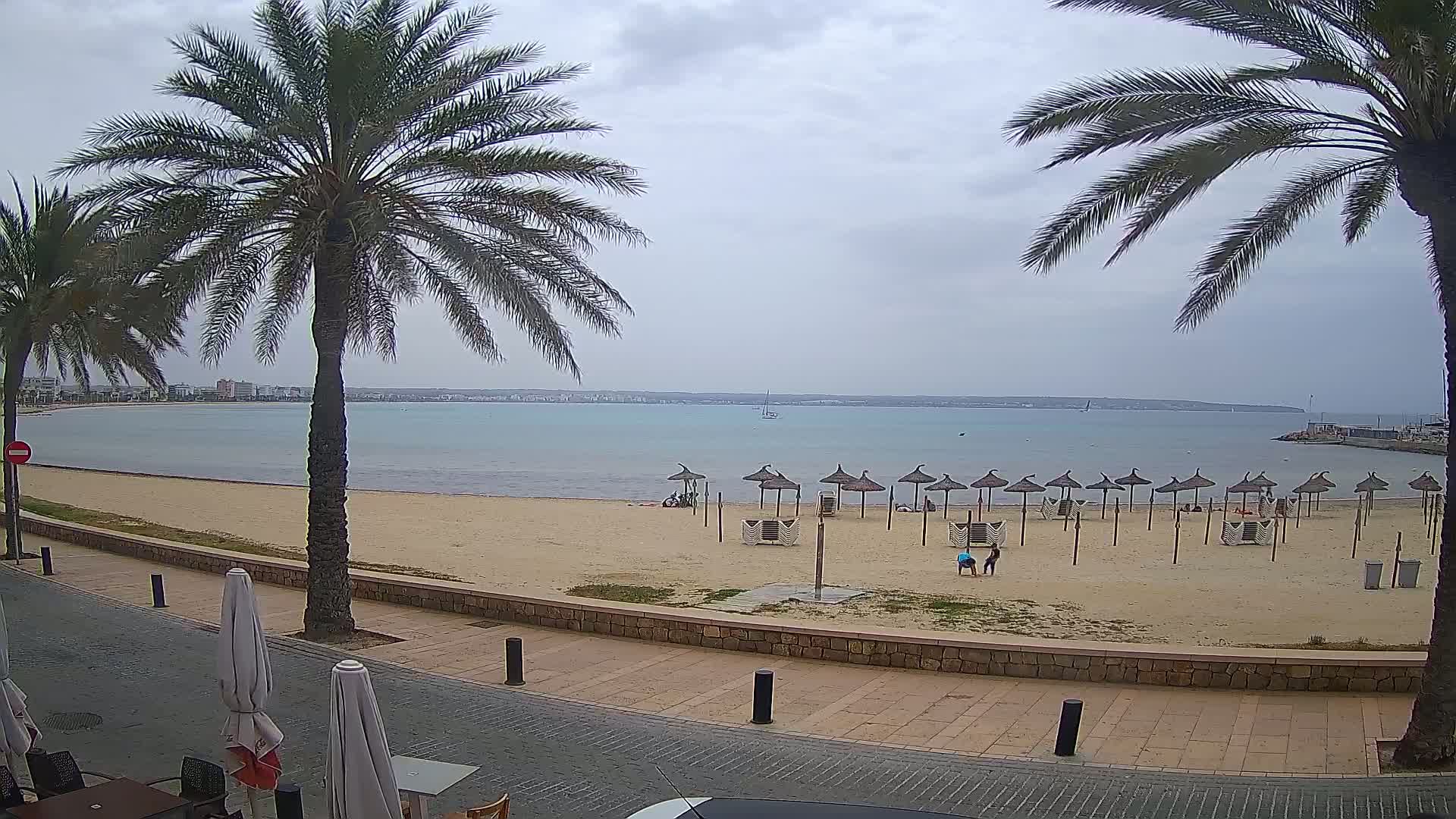 A sandy beach with several straw umbrellas, palm trees lining a paved walkway, and calm, light-blue water under an overcast sky.