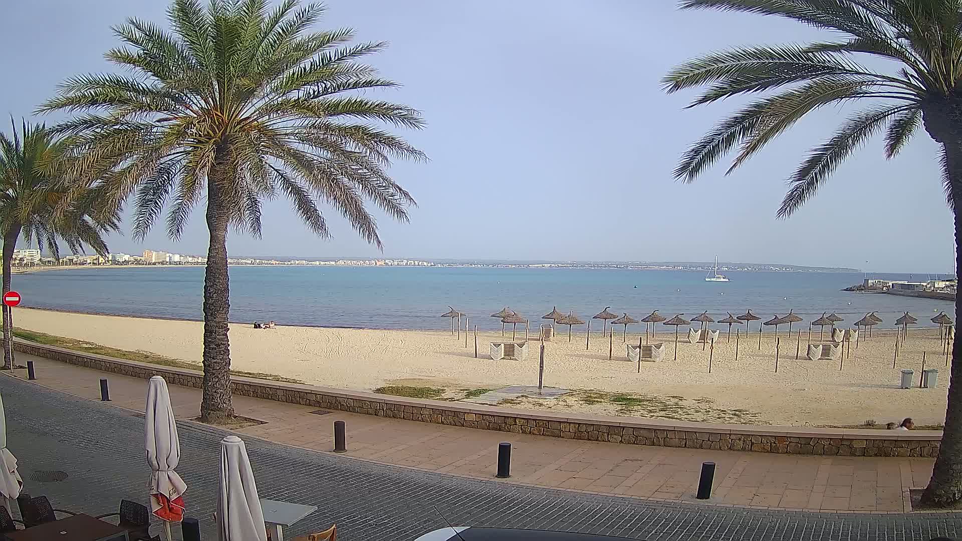 A sandy beach with numerous straw umbrellas and palm trees lines a calm, turquoise ocean under a clear sky.