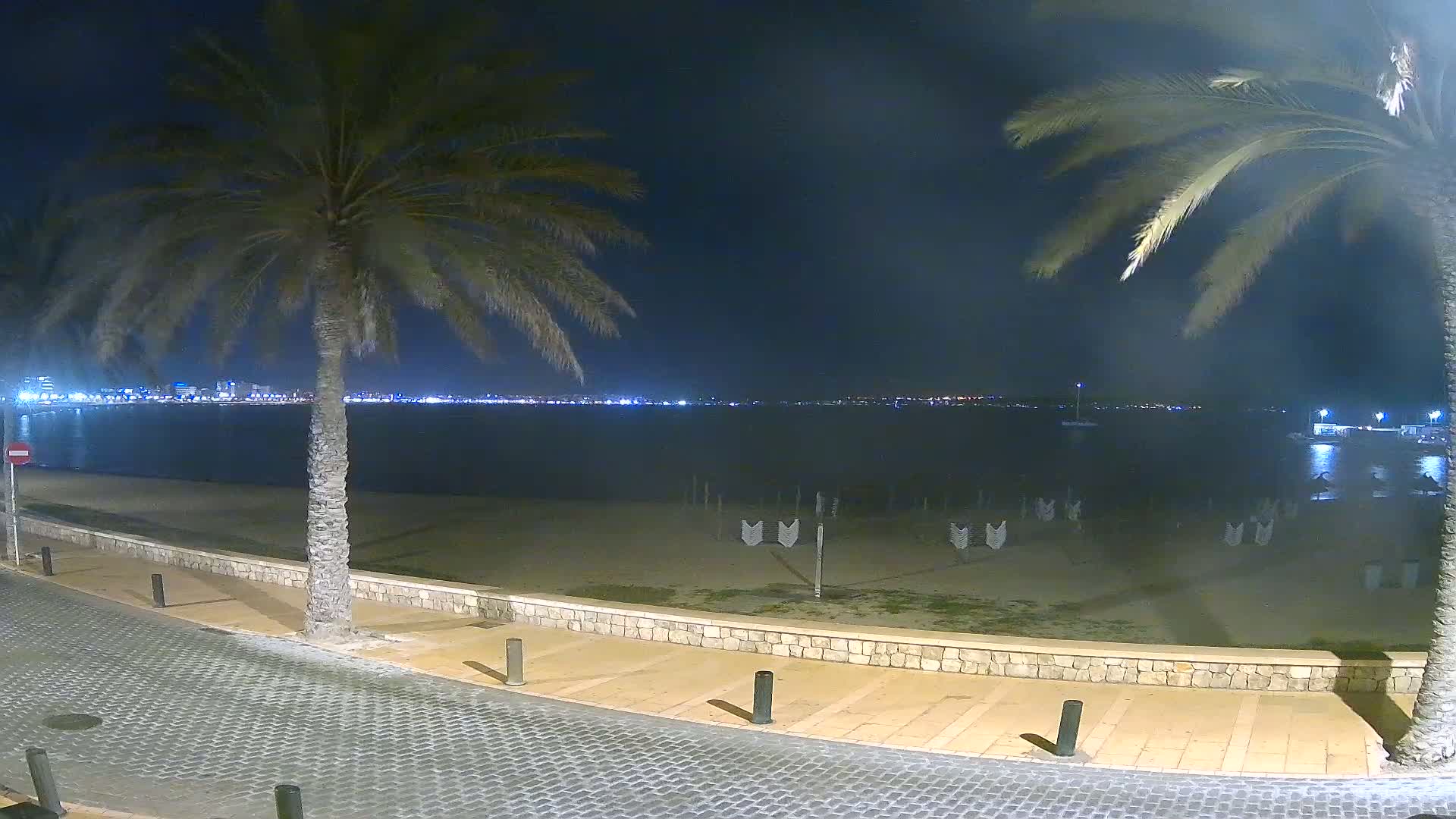 A nighttime view of a sandy beach with palm trees and a city skyline visible across calm water.