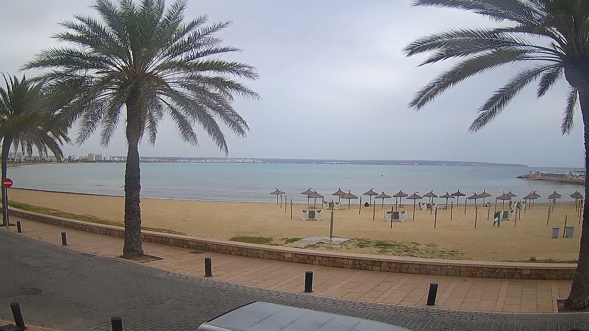 A sandy beach with several straw umbrellas sits along a calm, light-blue ocean under an overcast sky, bordered by palm trees and a paved walkway.
