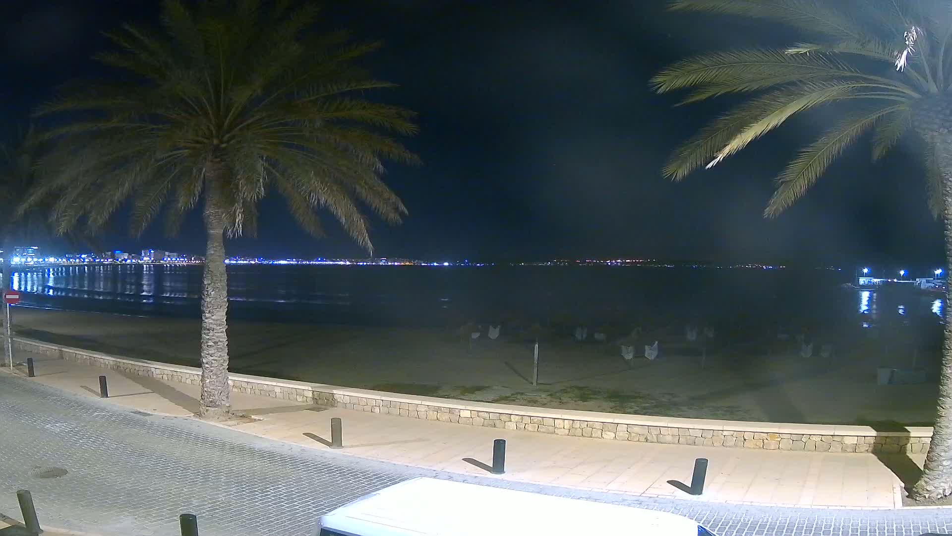 At night, a sandy beach with palm trees lines a paved walkway overlooking a calm, dark ocean reflecting city lights on the horizon.