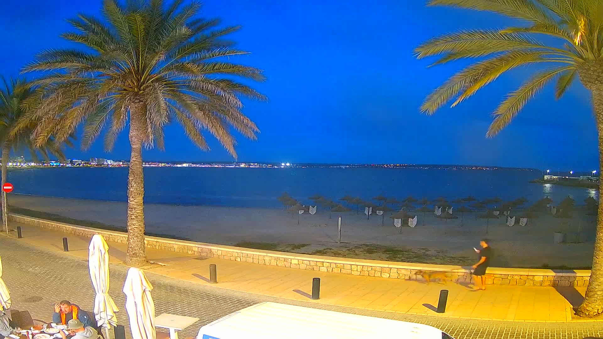 A twilight beach scene shows a calm sea, sandy shore with closed beach umbrellas, palm trees lining a paved walkway where a person walks a dog, and people dining at an outdoor cafe.
