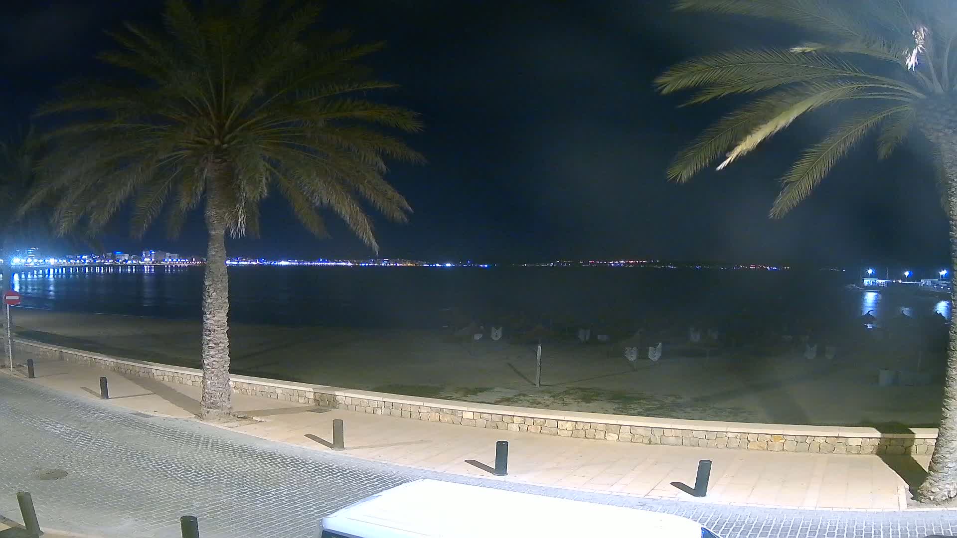 A nighttime beach scene shows a calm body of water reflecting the lights of a city in the distance, with palm trees flanking a paved walkway.