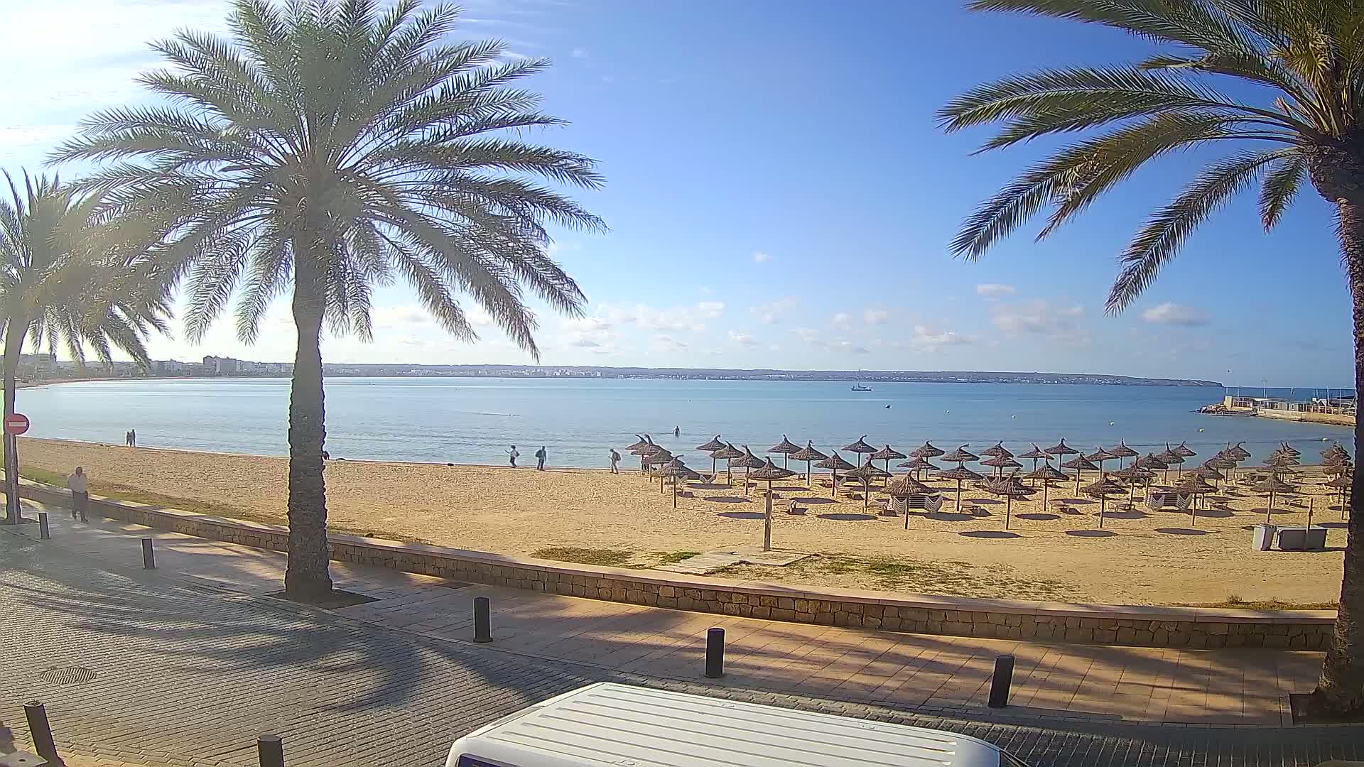 A sandy beach with numerous thatched umbrellas and palm trees in the foreground, overlooks a calm, light-blue sea on a sunny day.