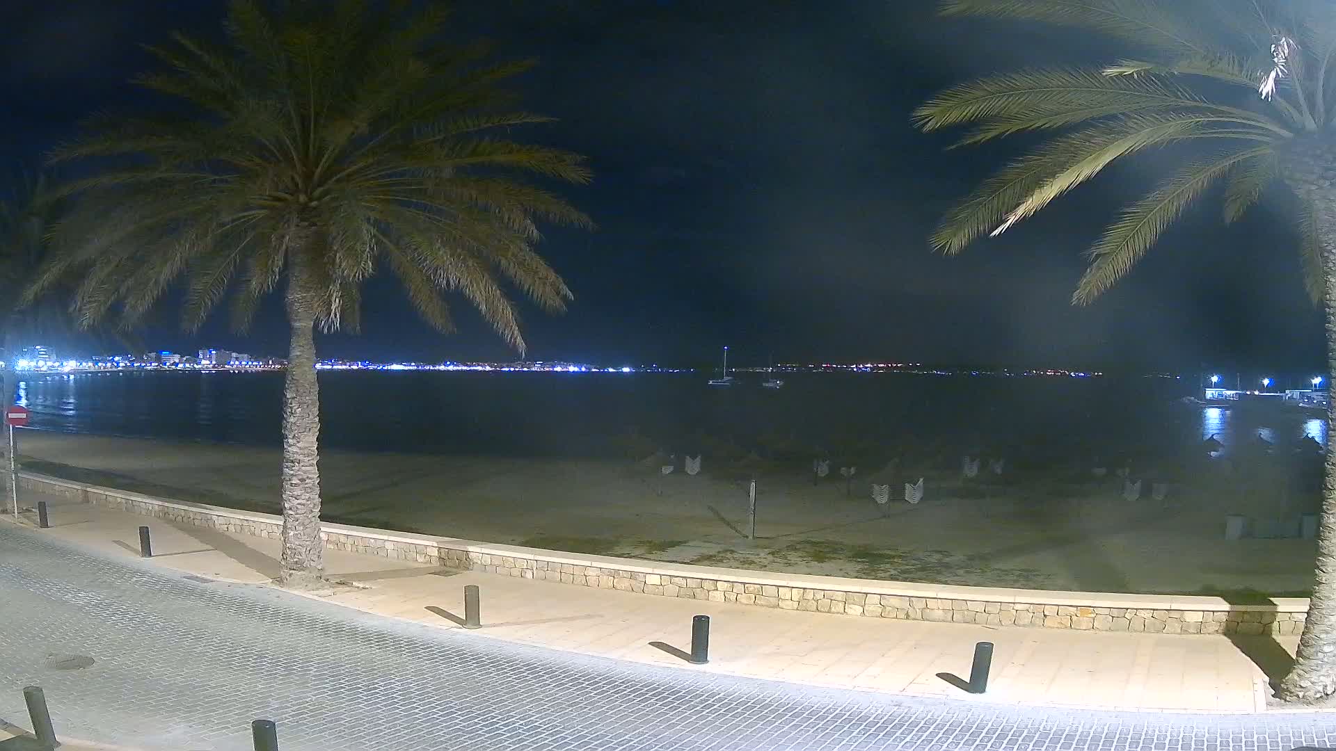 A nighttime view of a calm beach with palm trees, a stone wall, and a paved path, overlooking a city skyline across the water.