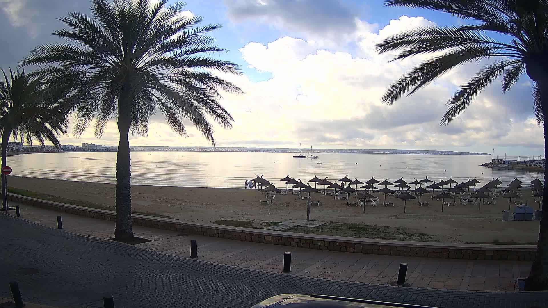A sandy beach with numerous closed umbrellas sits under a partly cloudy sky next to a calm body of water, framed by palm trees and a paved walkway.