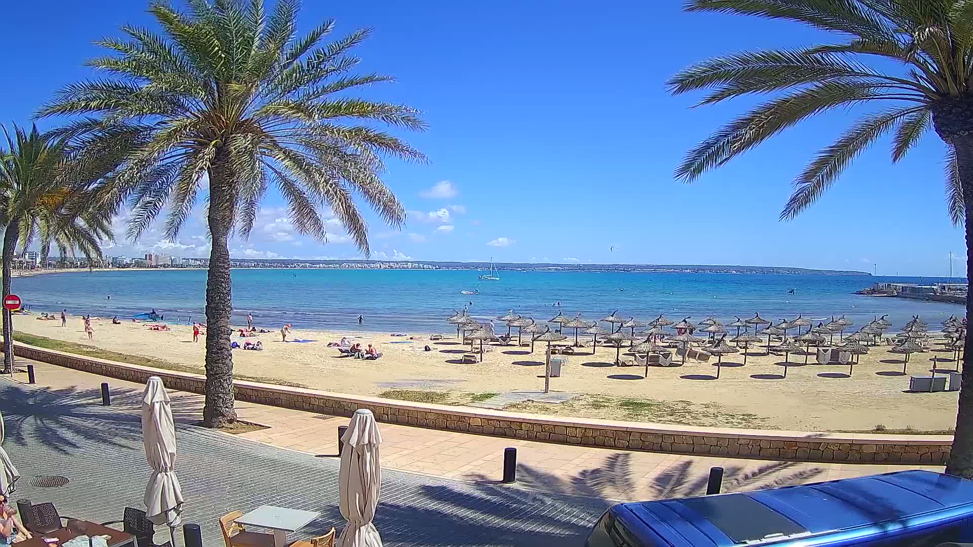 A sandy beach with numerous thatched umbrellas, palm trees, and people enjoying a sunny day by a calm turquoise ocean.