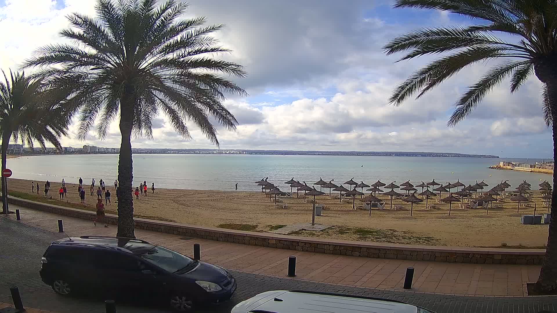 A sandy beach with numerous closed umbrellas, several people walking along the shore, and palm trees in the foreground under partly cloudy skies.