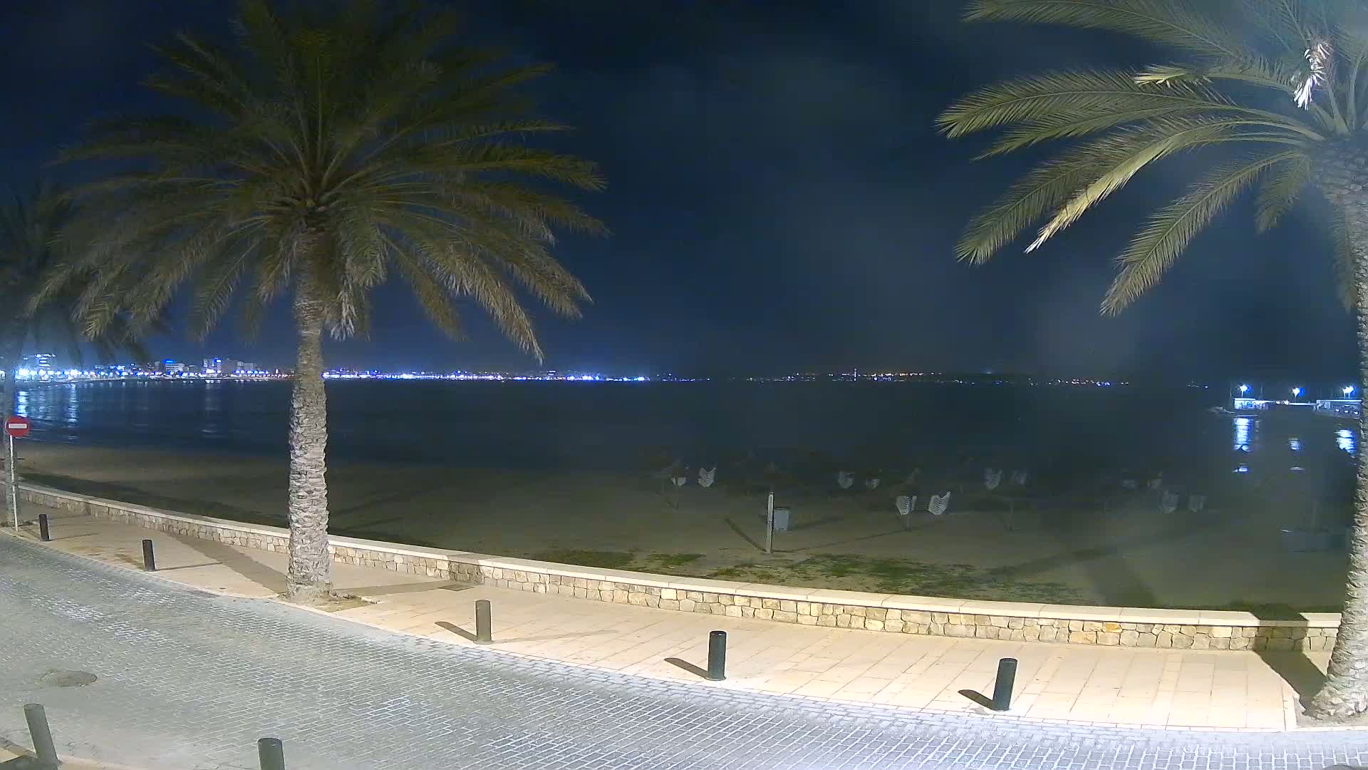 At night, a paved walkway leads to a sandy beach with palm trees, overlooking a calm body of water and a distant city skyline illuminated with lights.