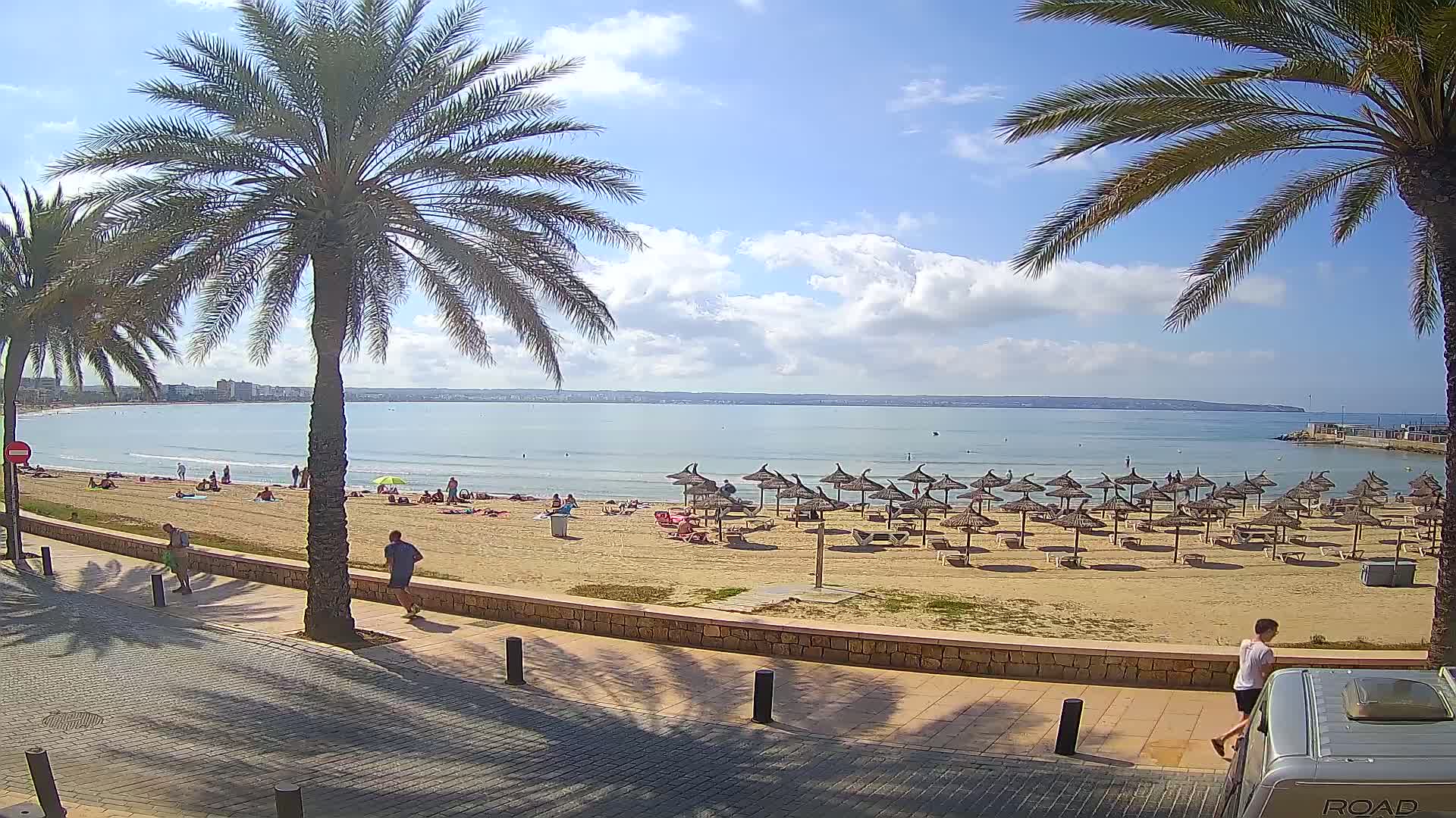 A sandy beach with numerous straw umbrellas, palm trees, and a few people on a sunny day with partly cloudy skies, overlooks a calm body of water.