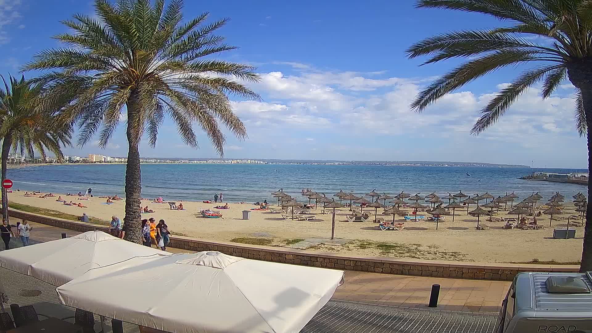 A sunny beach scene with palm trees, numerous beach umbrellas, and people relaxing on the sand, overlooking calm ocean water and a distant coastline under a partly cloudy sky.