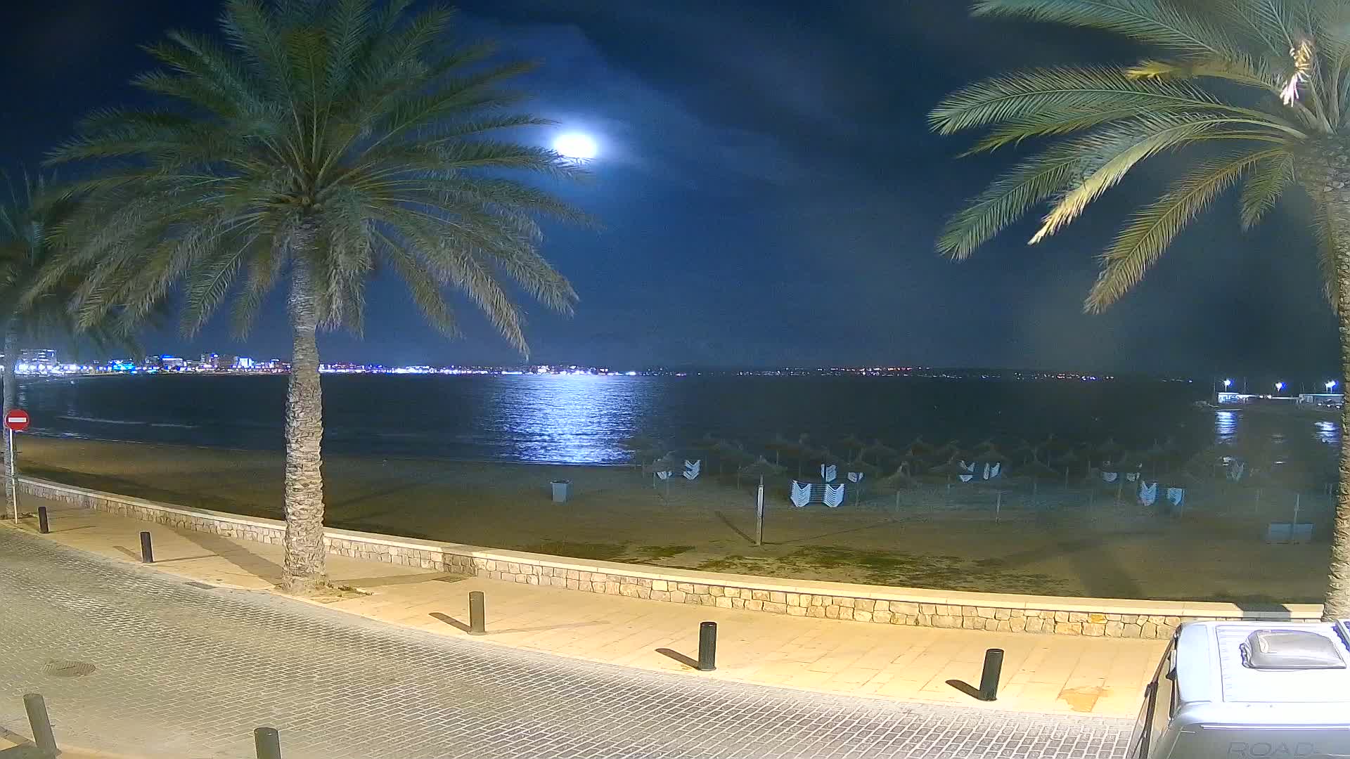 A moonlit beach at night, with palm trees lining a paved walkway overlooking calm water and a distant city skyline.