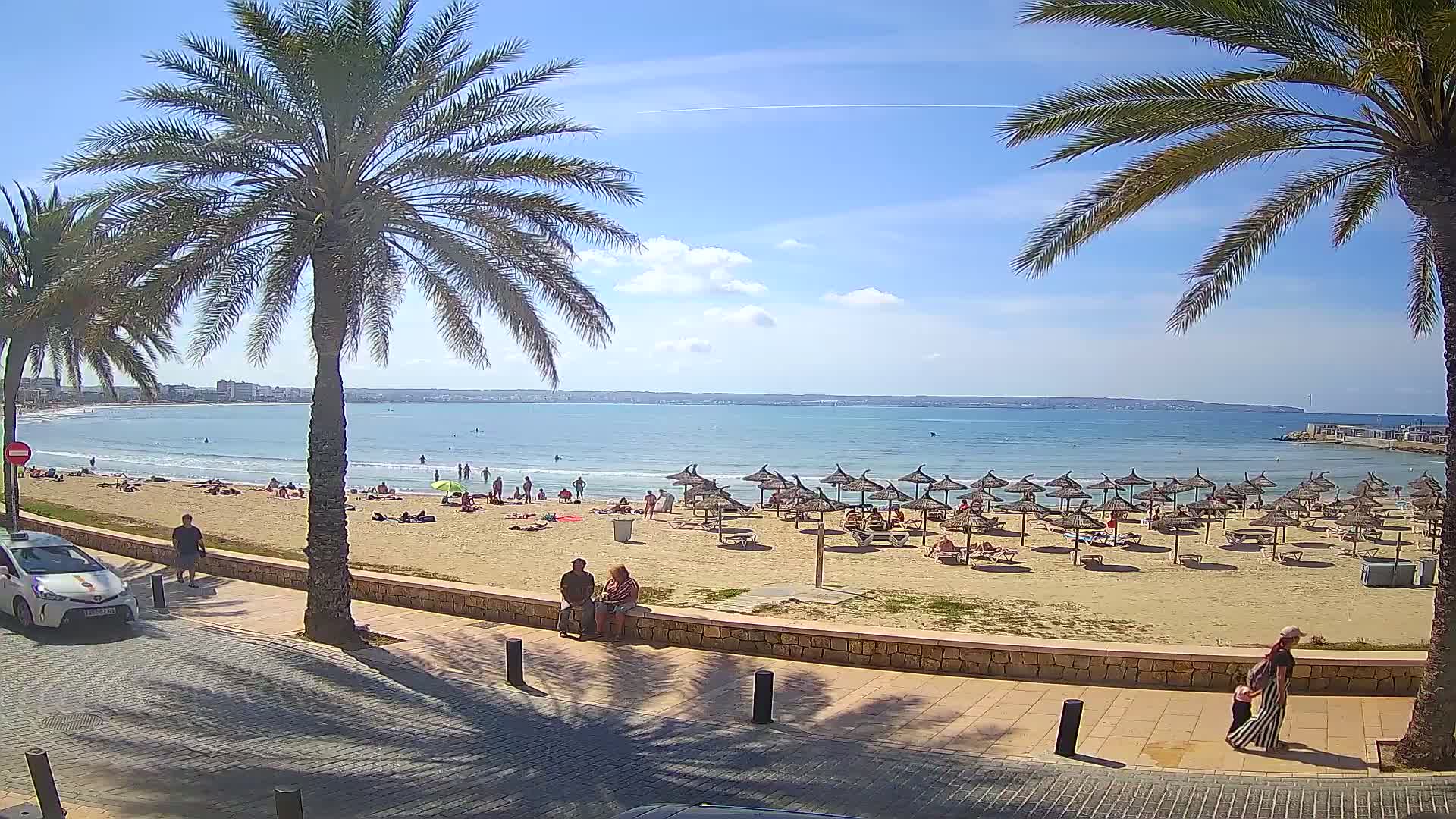 A sandy beach with numerous straw umbrellas and people relaxing under a sunny sky, palm trees lining a paved walkway beside the beach.