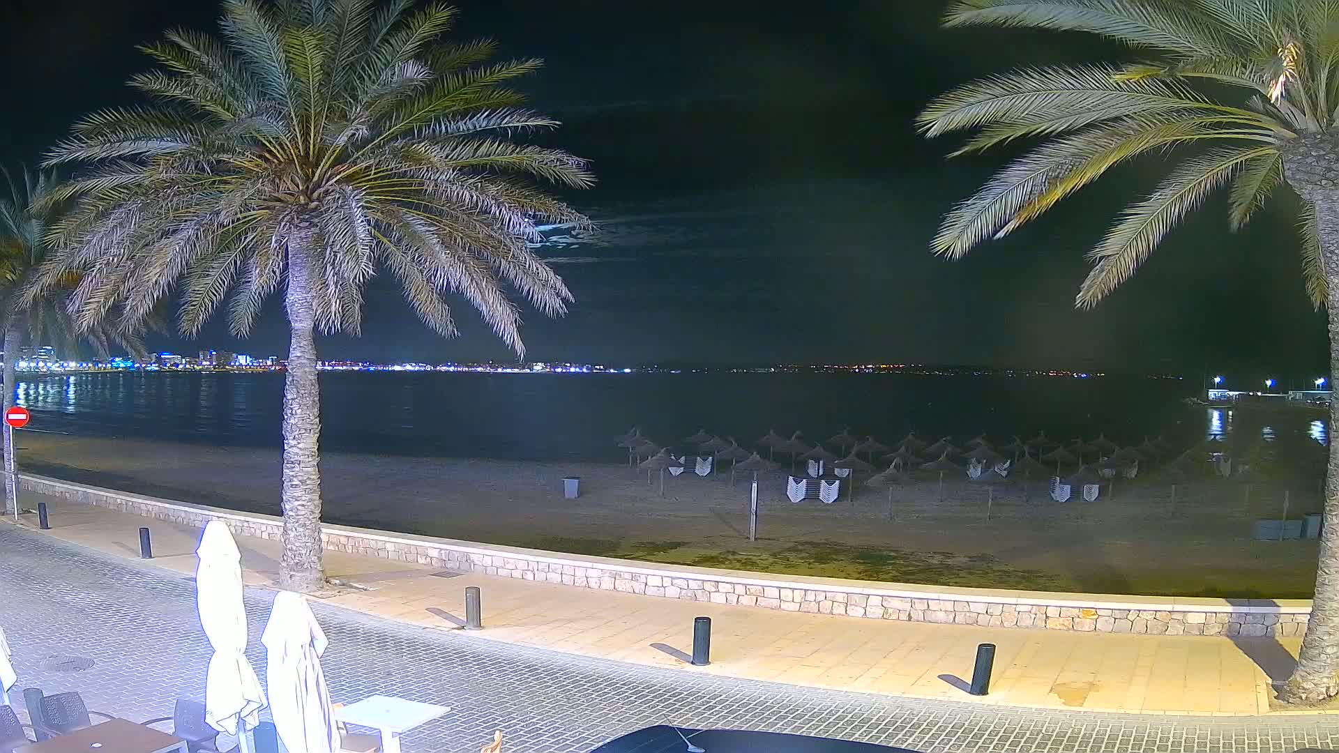 A nighttime view of a sandy beach with closed umbrellas, palm trees lining a paved walkway overlooking calm water and a distant city skyline under a clear sky.