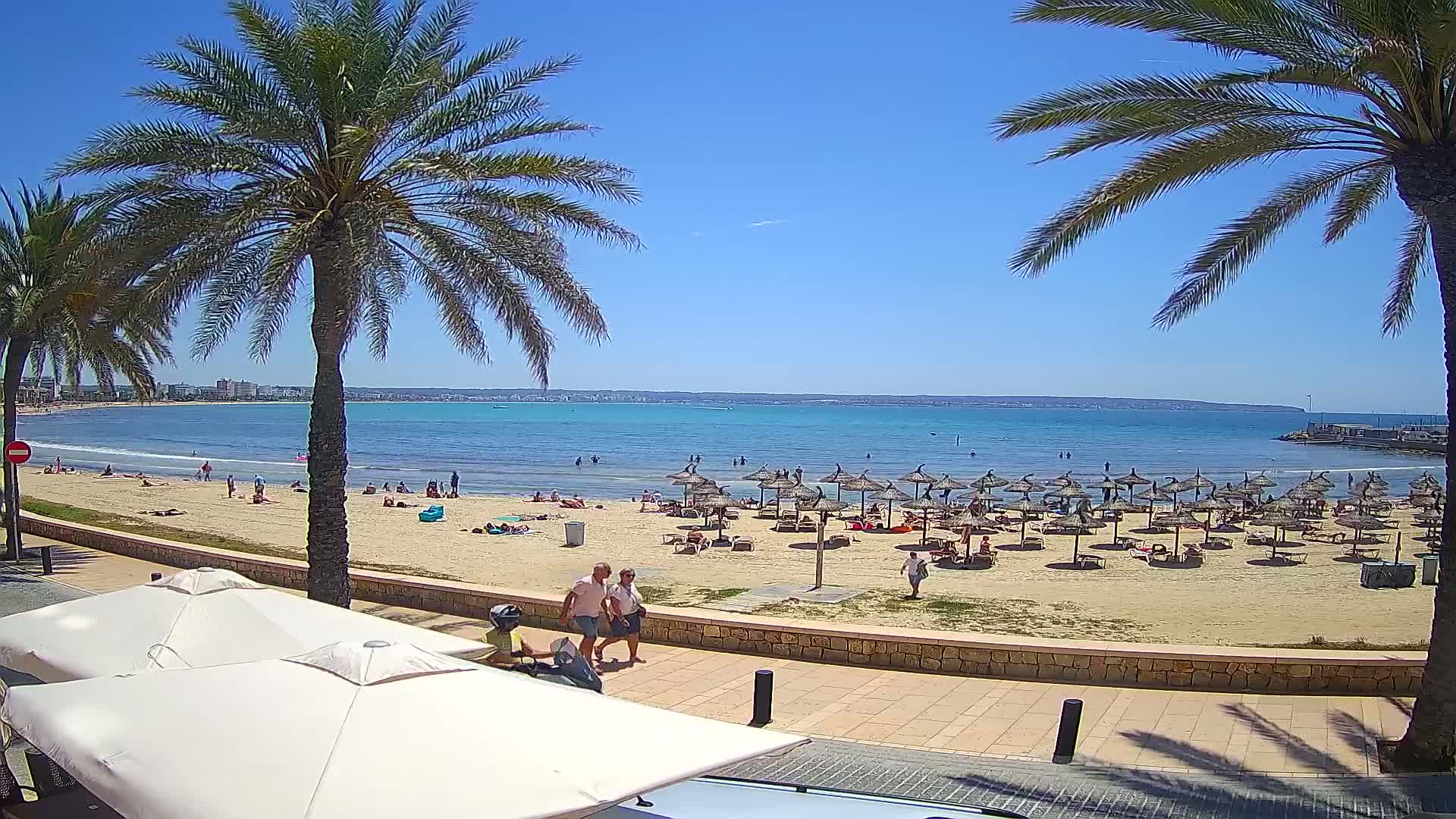 A sandy beach with numerous umbrellas and sunbathers is visible beyond a promenade lined with palm trees on a sunny day.
