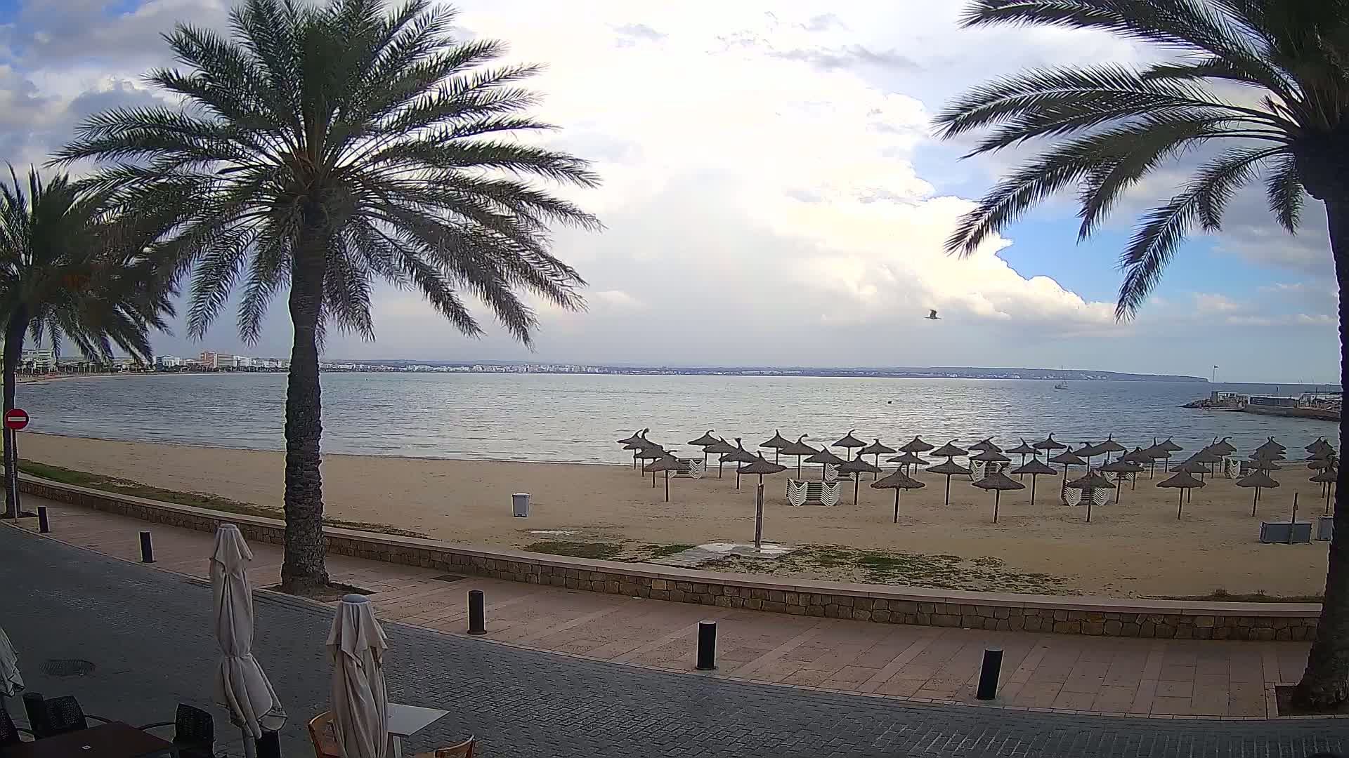 A sandy beach with numerous closed straw umbrellas is visible under a partly cloudy sky, with palm trees lining a paved walkway overlooking a calm sea and a distant shoreline.
