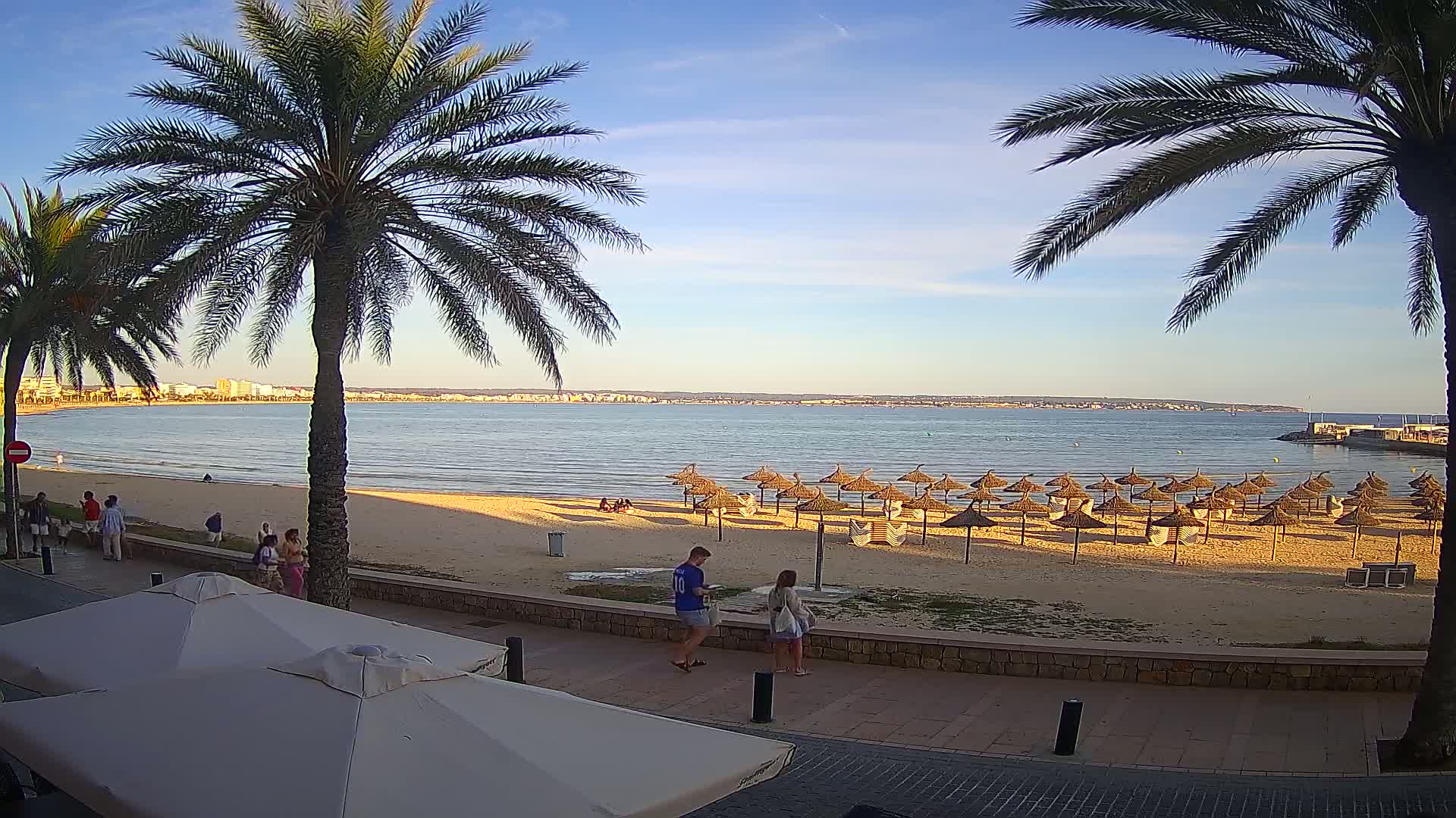 A sandy beach with numerous straw umbrellas is seen from a boardwalk, under a mostly clear sky, with calm ocean water and palm trees framing the view.