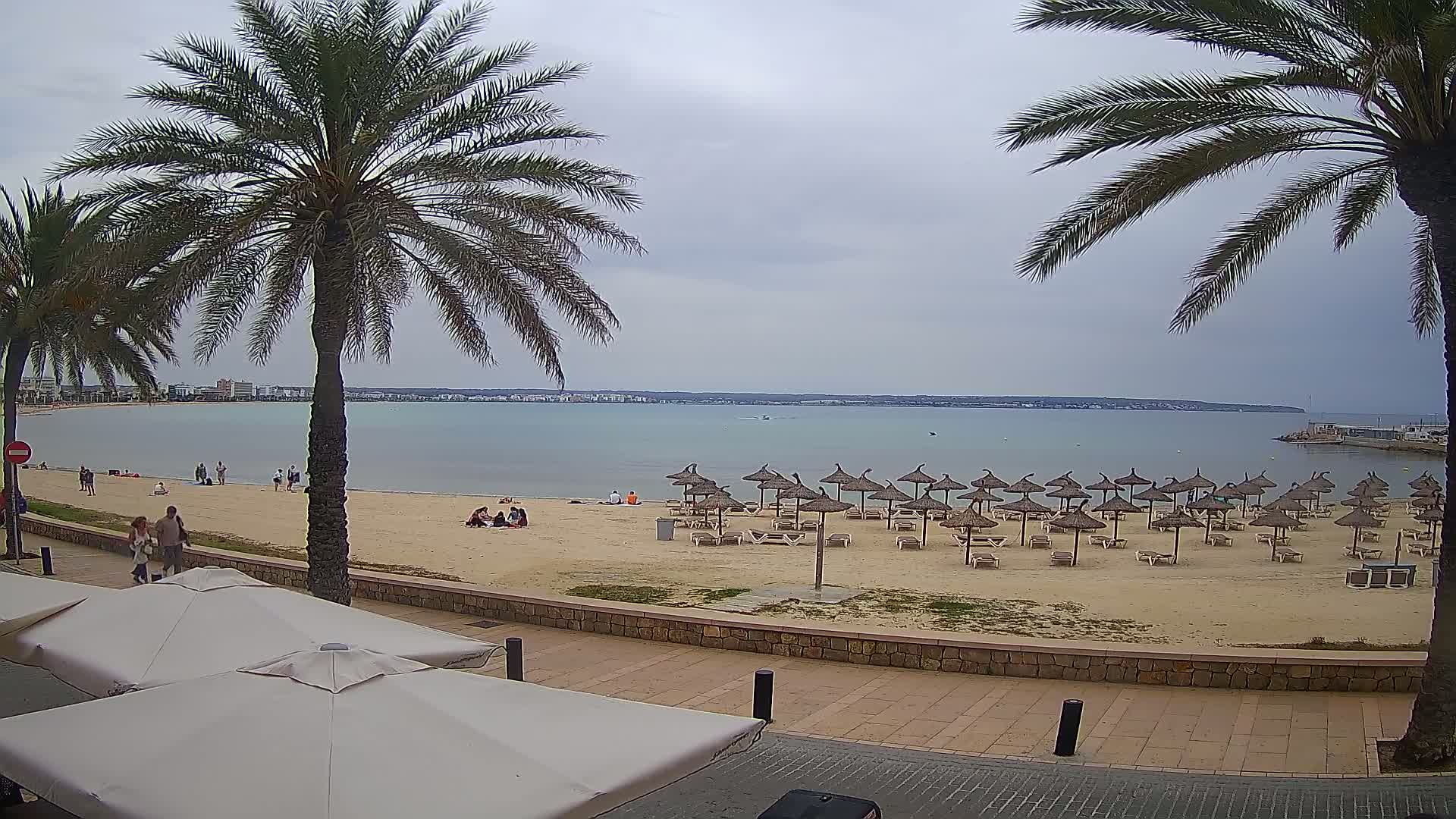 A sandy beach with numerous straw umbrellas and lounge chairs is seen under a cloudy sky, with palm trees lining the waterfront and people scattered along the shoreline and in the water.