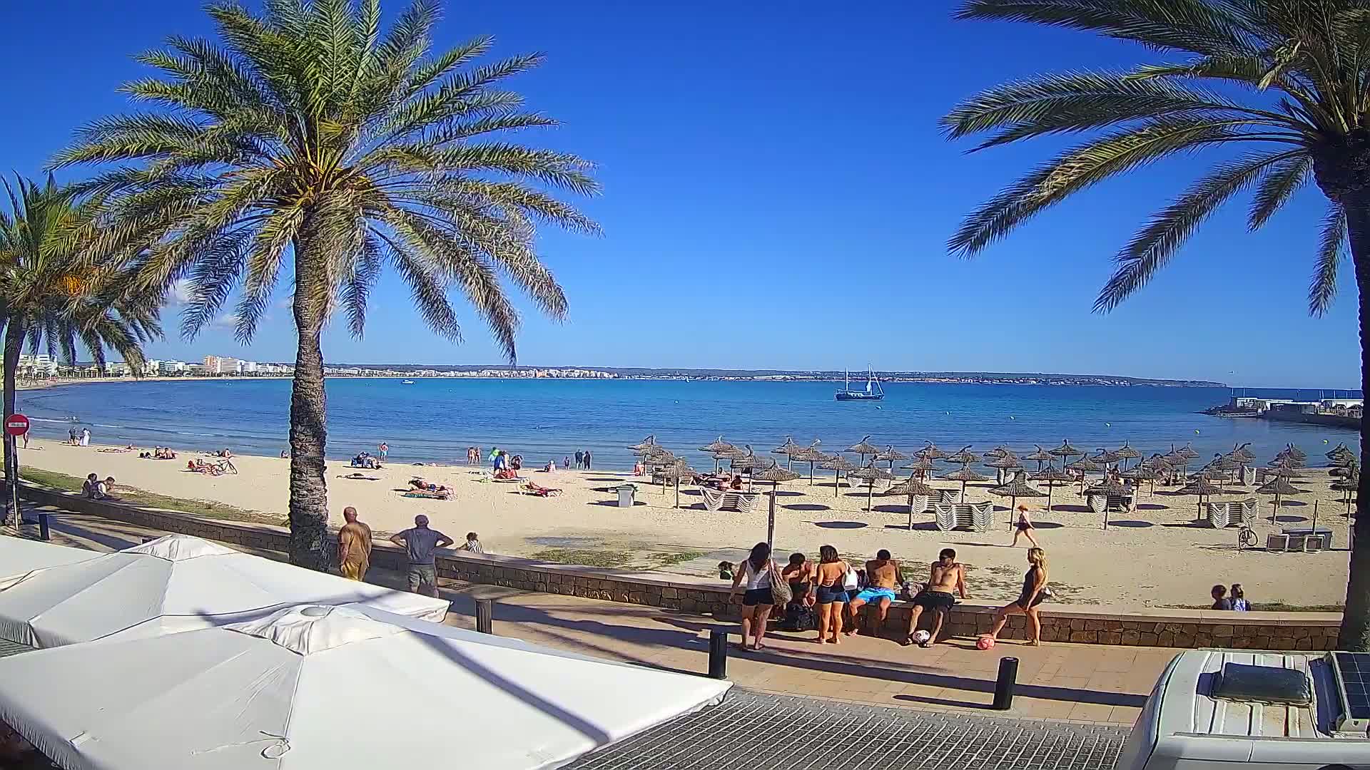 A sandy beach with numerous beach umbrellas, palm trees, and people relaxing under a clear blue sky.