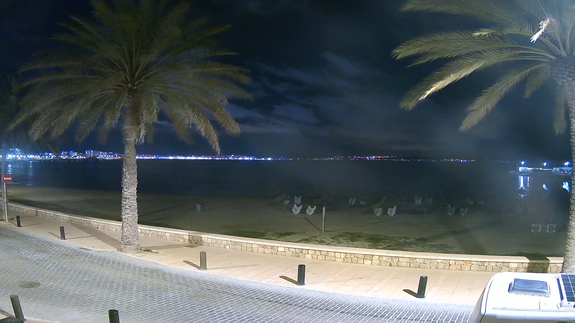 A nighttime view of a calm beach with palm trees, a stone walkway, and a city skyline visible across the water under a partly cloudy sky.
