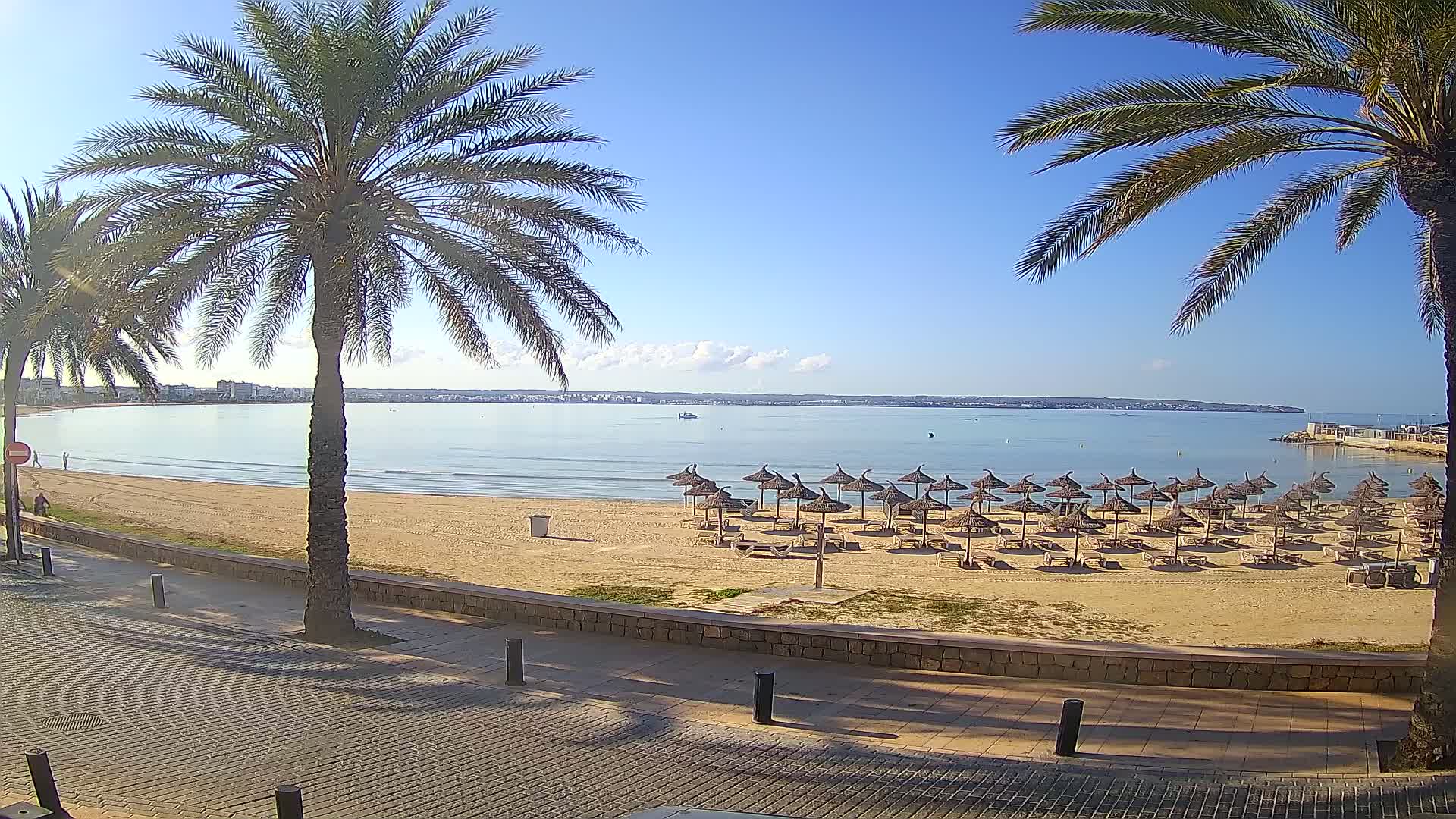 A sandy beach with numerous closed straw umbrellas sits before calm, blue water under a clear, sunny sky, flanked by palm trees and a paved walkway.