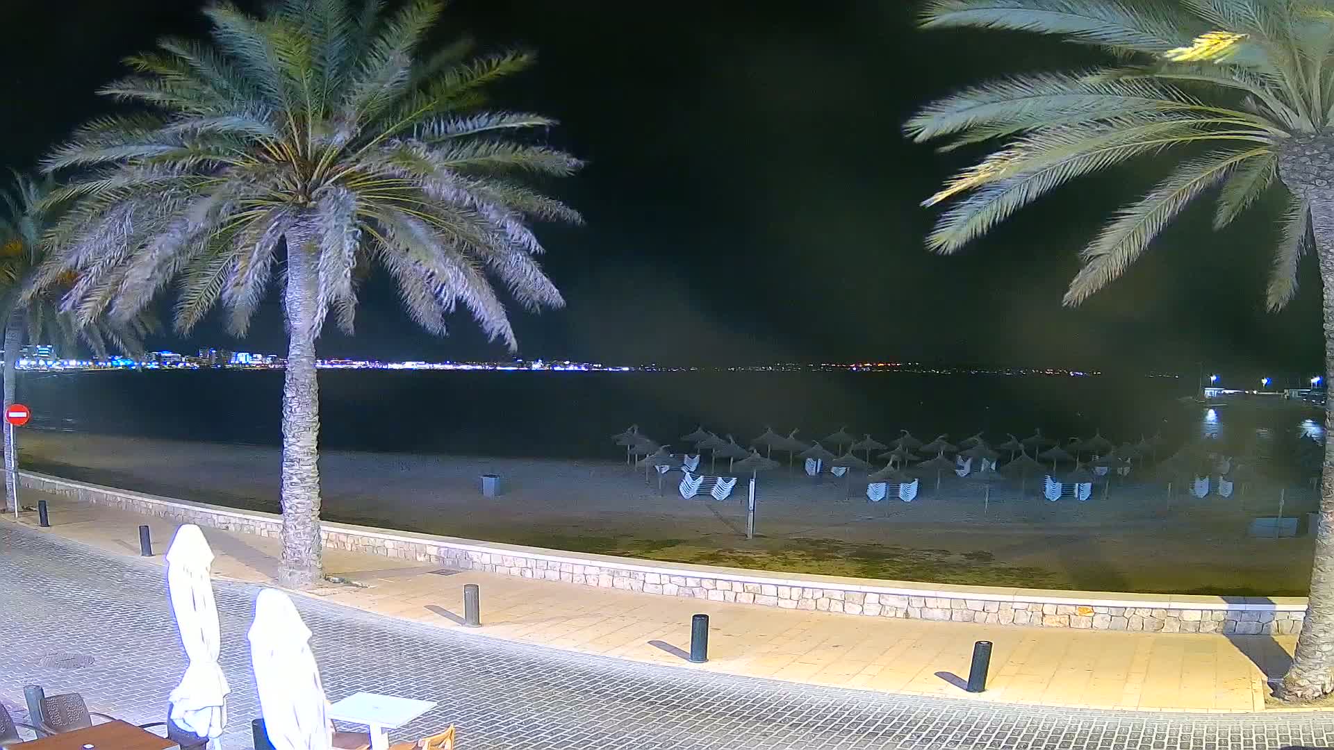 At night, a dark beach with closed umbrellas is seen beyond a paved walkway lined with palm trees, with city lights visible across the water.