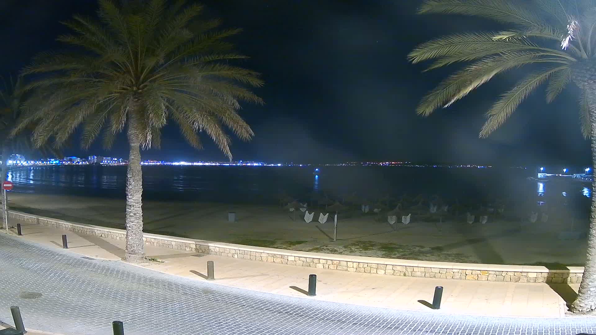 A nighttime view of a beach with palm trees, a calm sea, and a distant city skyline illuminated.