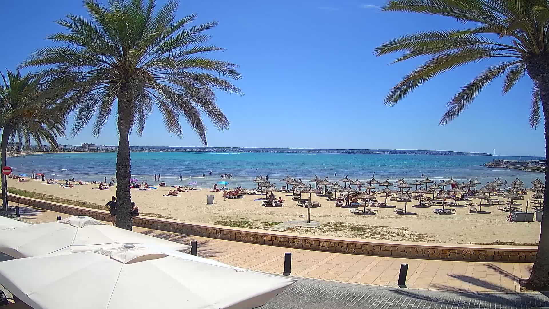 A sandy beach with numerous thatched umbrellas and sunbathers stretches along a calm, turquoise ocean under a bright, sunny sky, framed by palm trees.