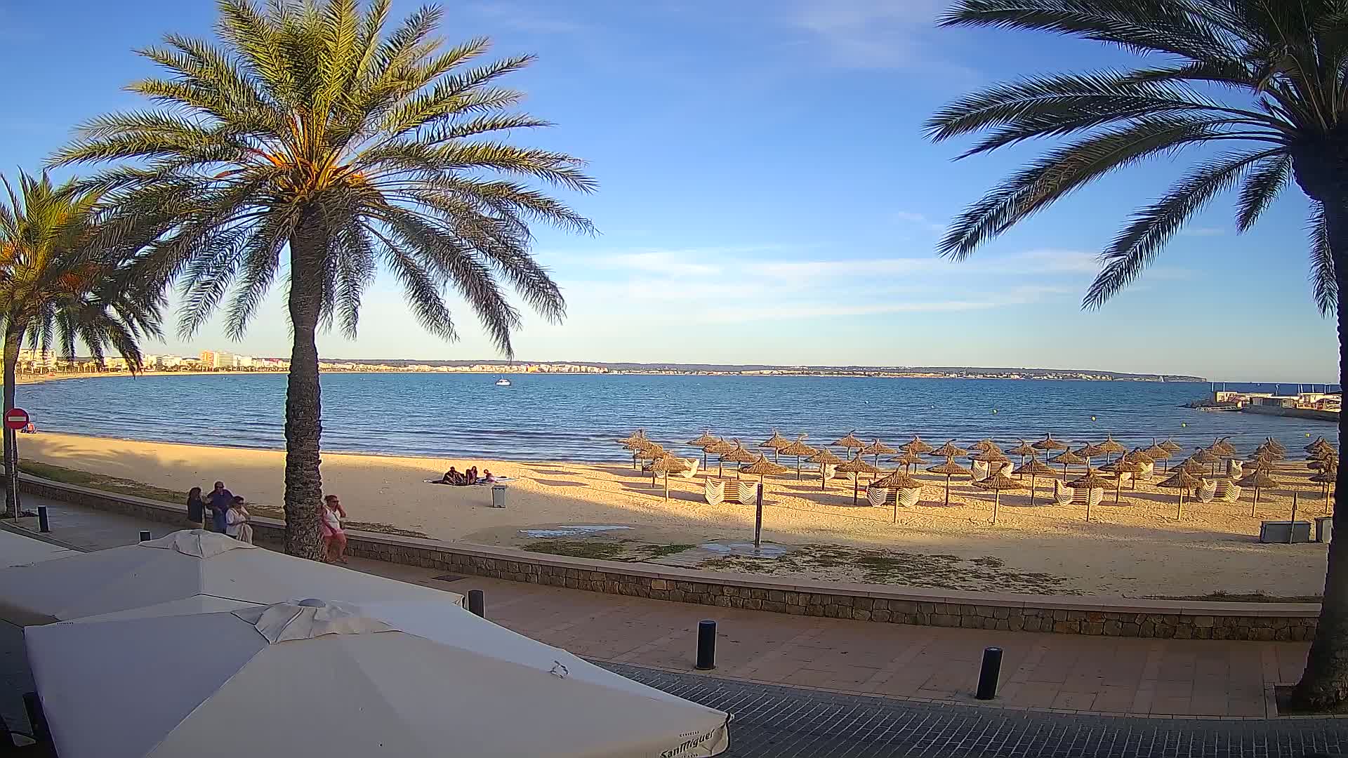 A sandy beach with numerous straw umbrellas sits under a clear blue sky next to calm, blue water, bordered by palm trees and a paved walkway.