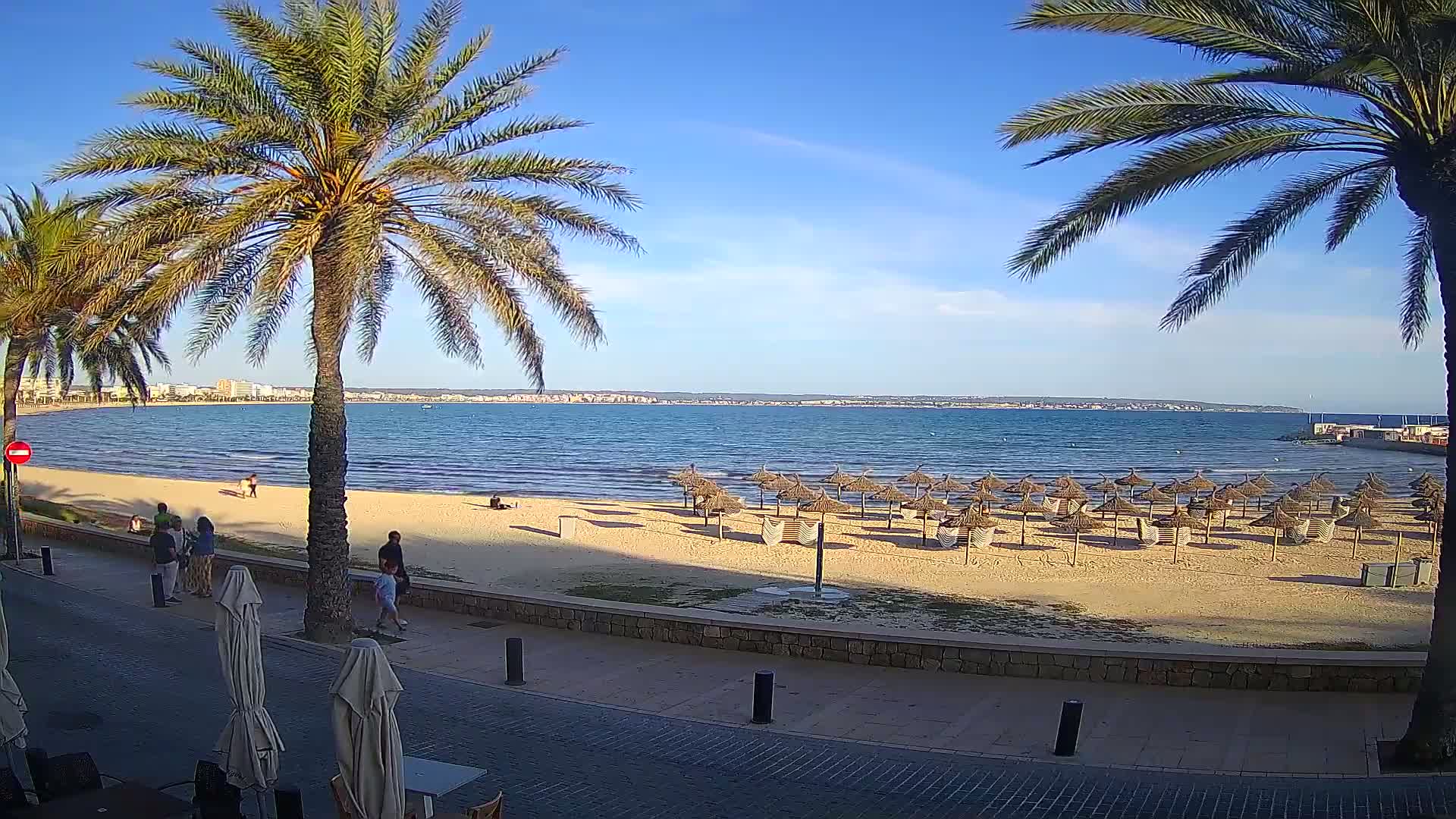 A sandy beach with thatched umbrellas, palm trees, and a few people, under a clear blue sky overlooking calm ocean water and a distant shoreline.
