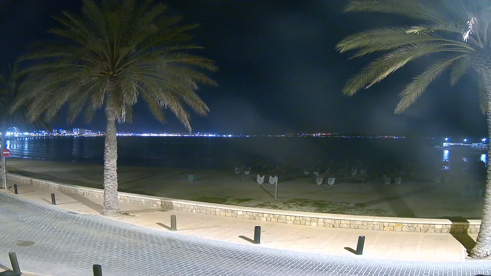 A nighttime view of a beach with palm trees, a calm sea, and a distant city skyline illuminated.