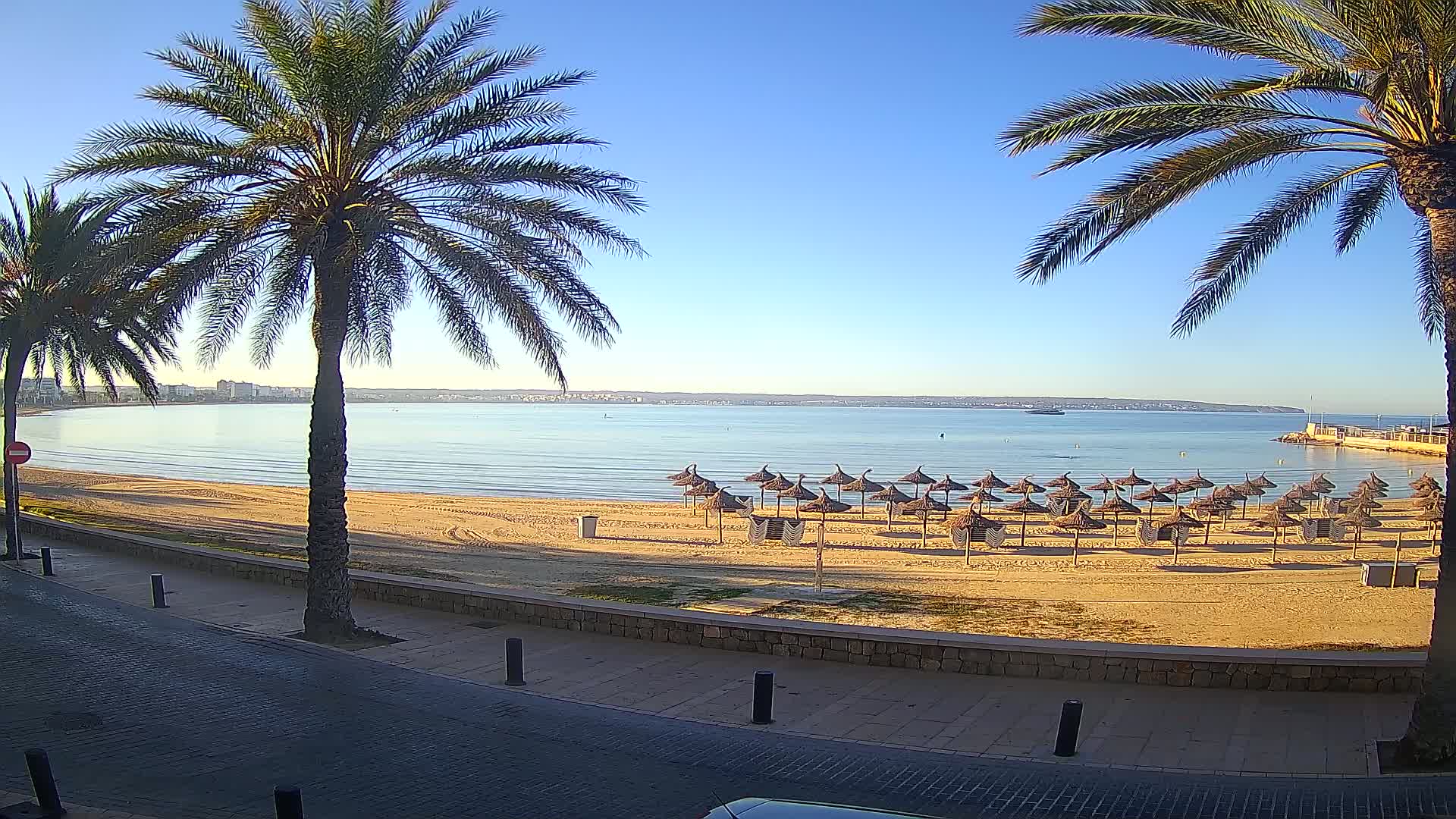 A sandy beach with numerous straw umbrellas lines a calm bay under a clear blue sky, framed by palm trees and a paved walkway.