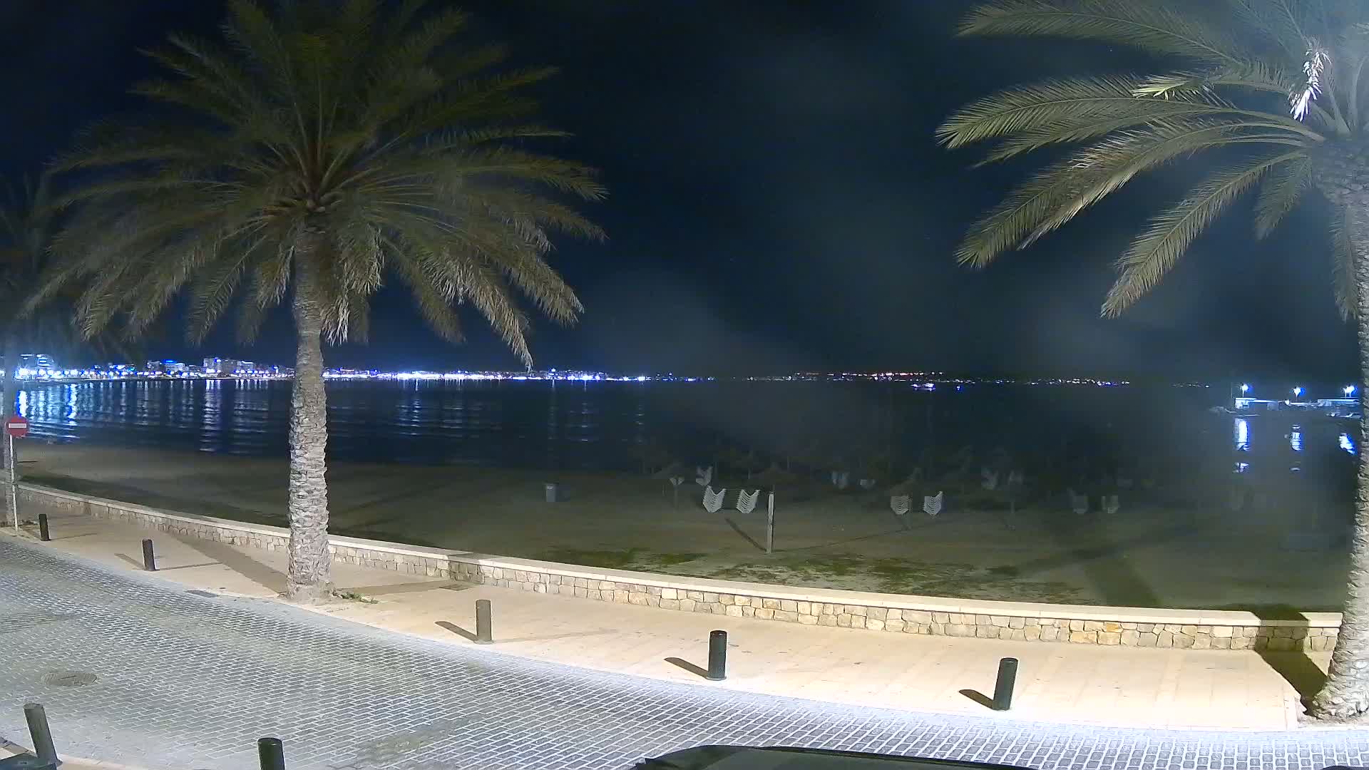 A nighttime view of a calm beach with palm trees lining a paved walkway, overlooking a city skyline across the water.