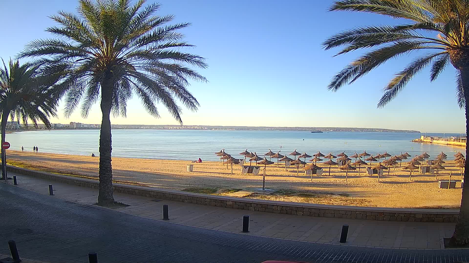 A sandy beach with numerous closed straw umbrellas, palm trees lining a paved walkway, and a calm body of water under a clear blue sky.