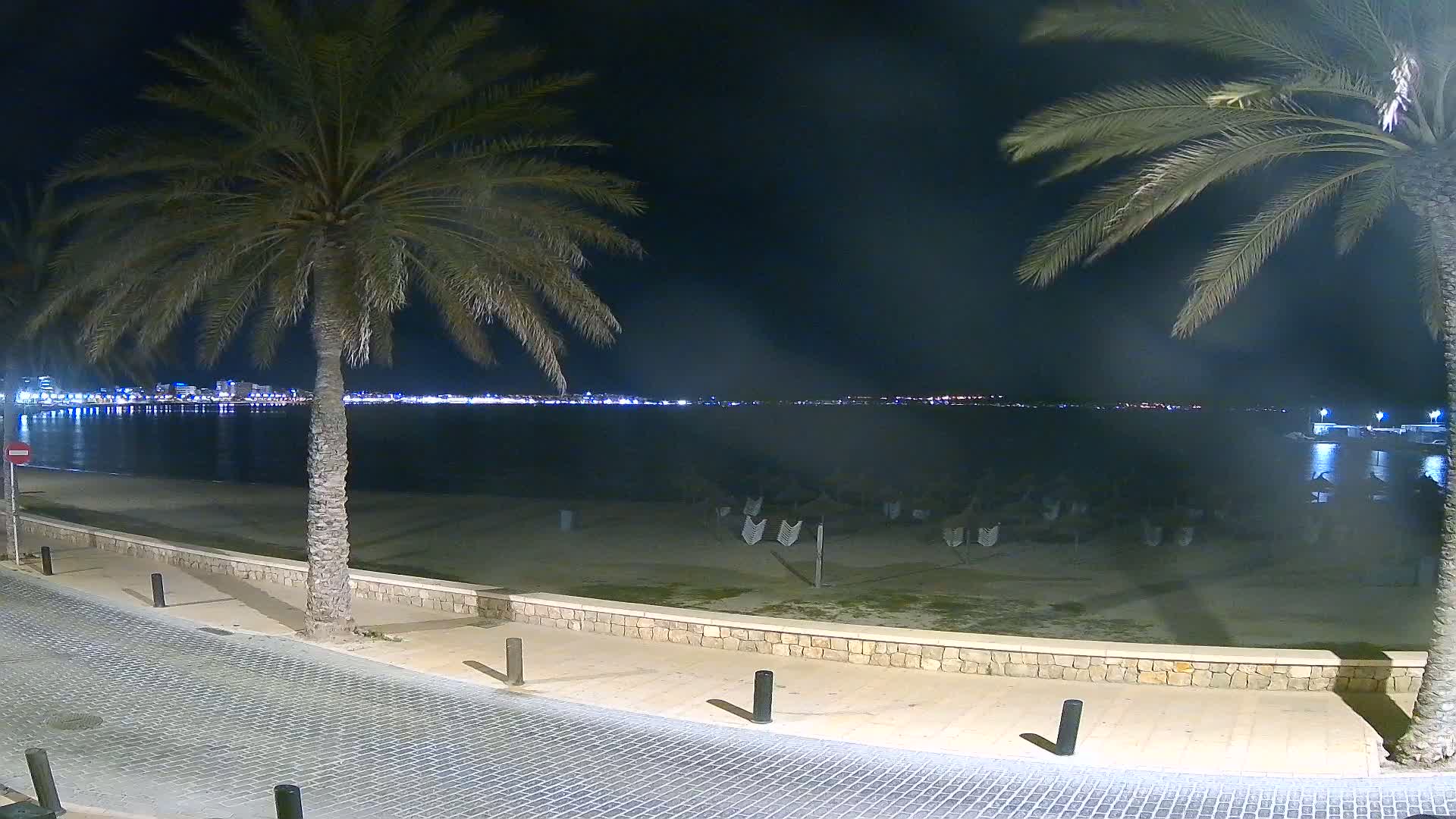 A nighttime view of a beach with palm trees, a calm body of water, and a city skyline in the distance.