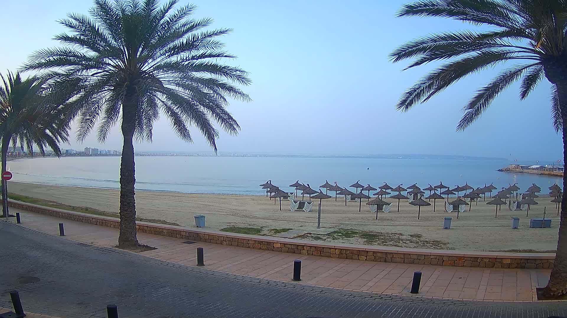 A sandy beach with numerous closed umbrellas sits under a hazy sky, bordered by palm trees and a paved walkway.