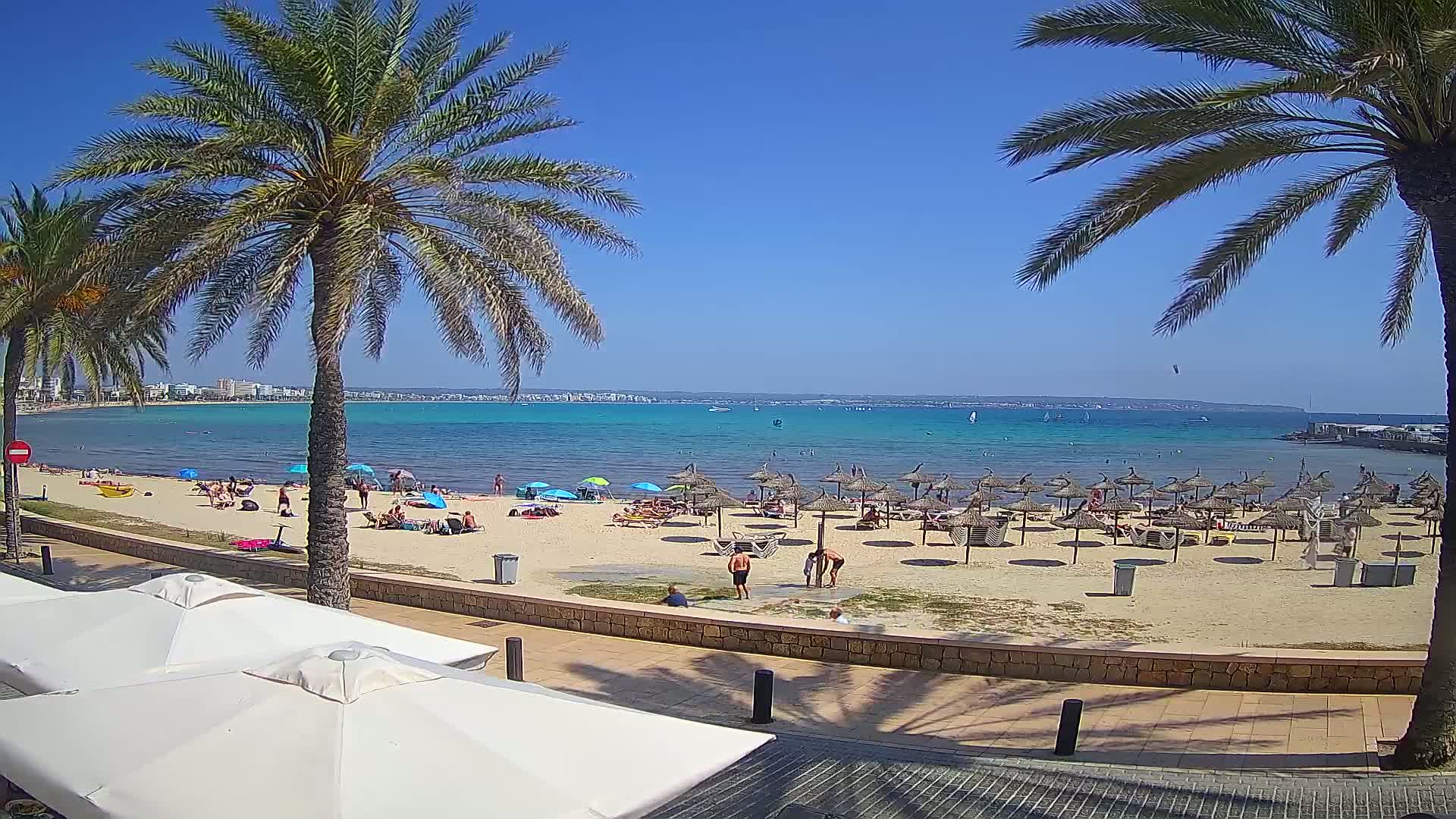 A sandy beach with numerous umbrellas and people, palm trees in the foreground, and a calm, turquoise ocean under a clear blue sky.