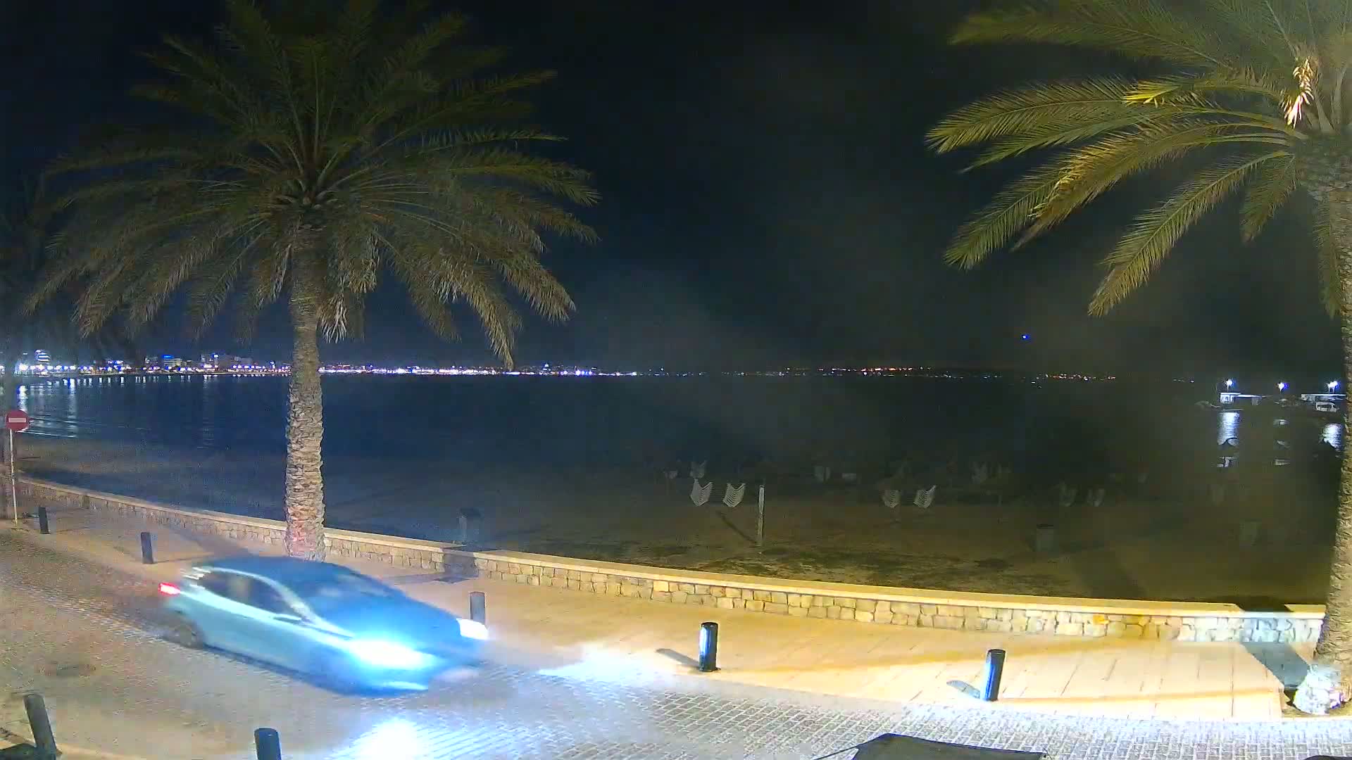 A car drives along a seaside promenade at night, past palm trees, with a calm body of water and a city skyline visible in the distance.